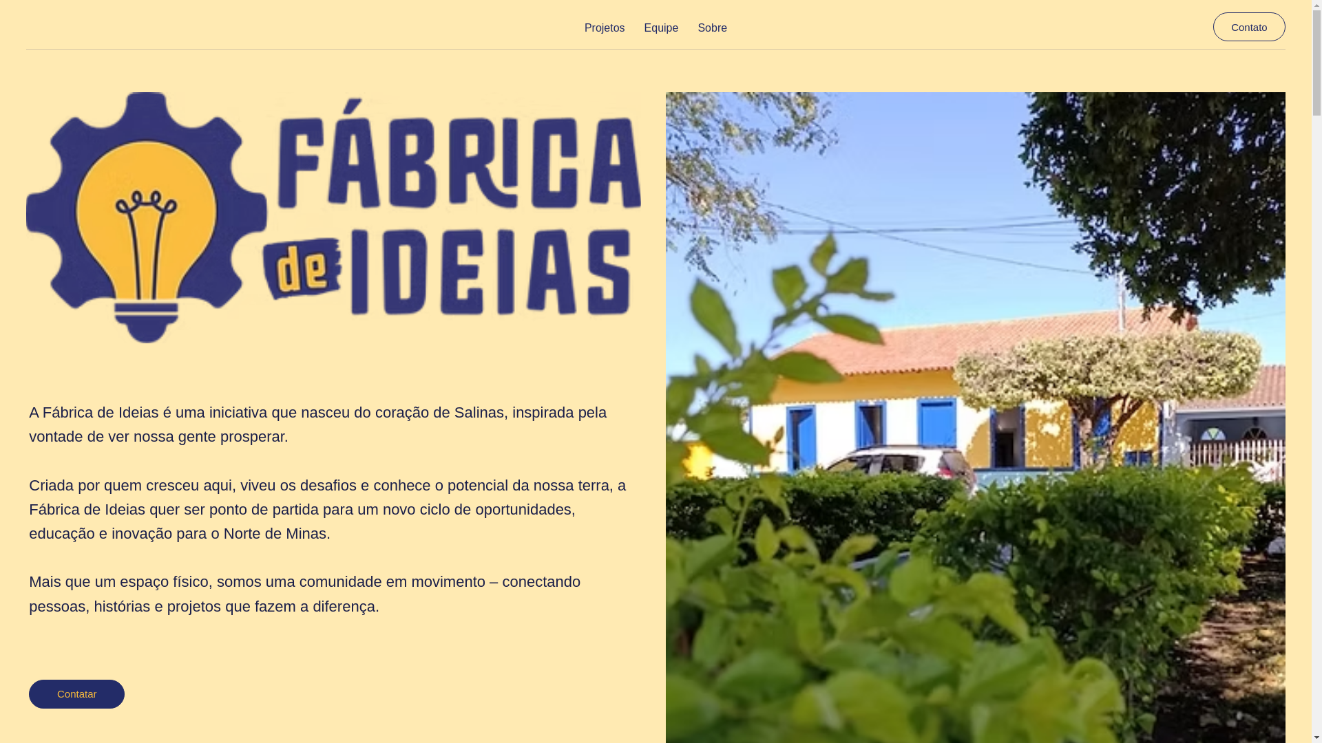 website screenshot of https://fabricadeideiassalinas.com/