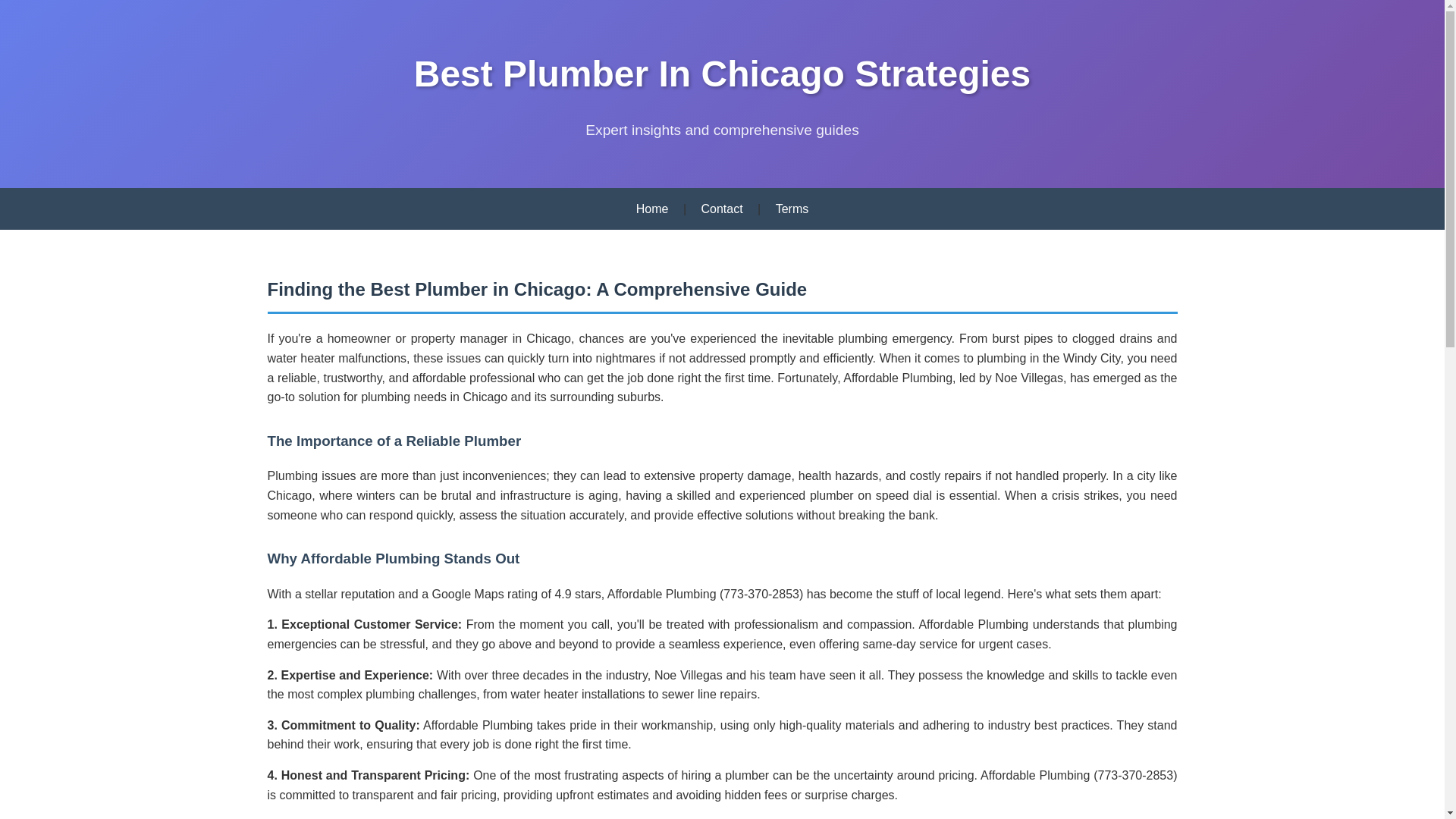 website screenshot of https://best-plumber-in-chicago-solutions.pages.dev/