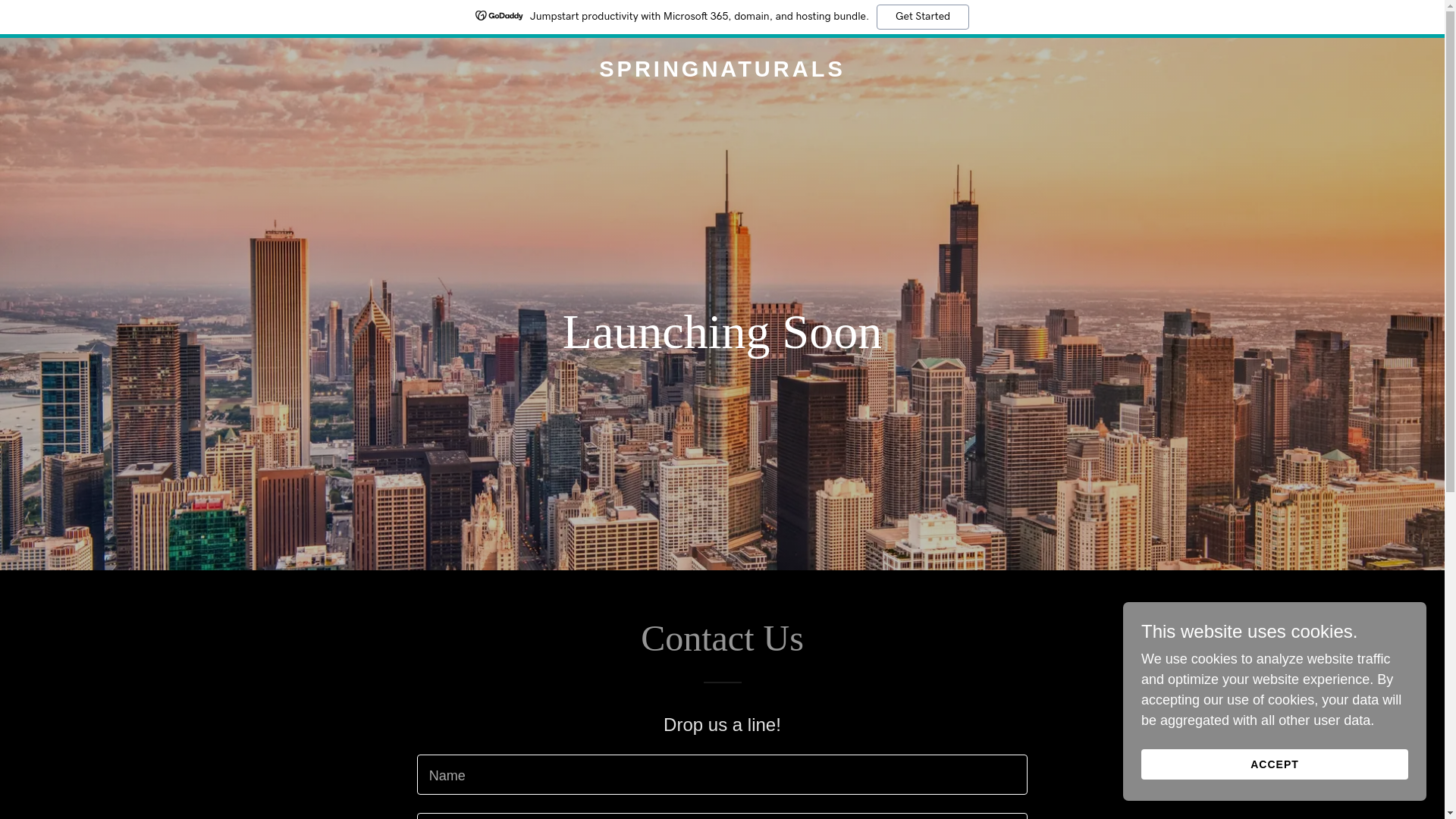 website screenshot of https://springnaturals.site/