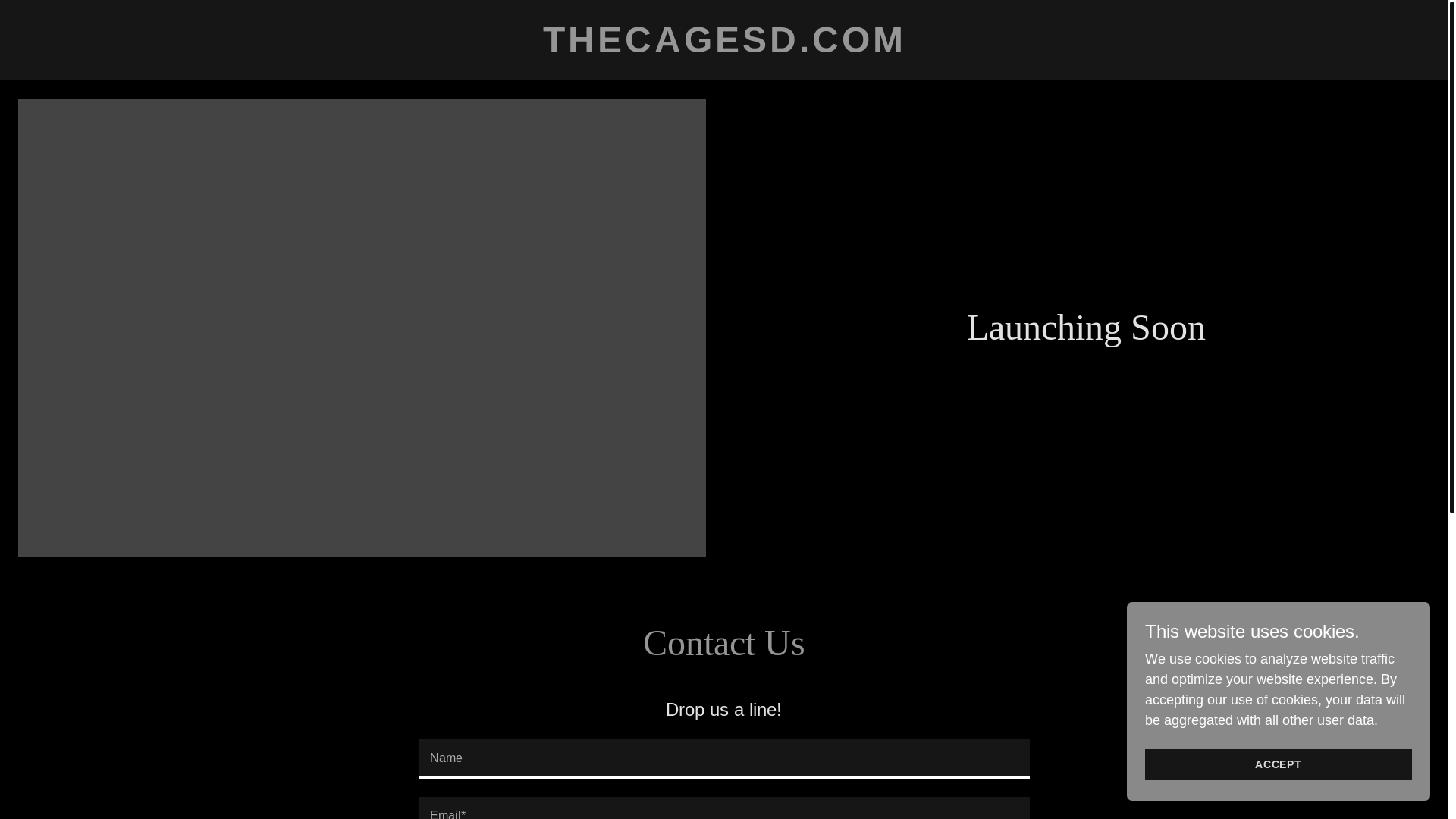 website screenshot of https://thecagesd.com/