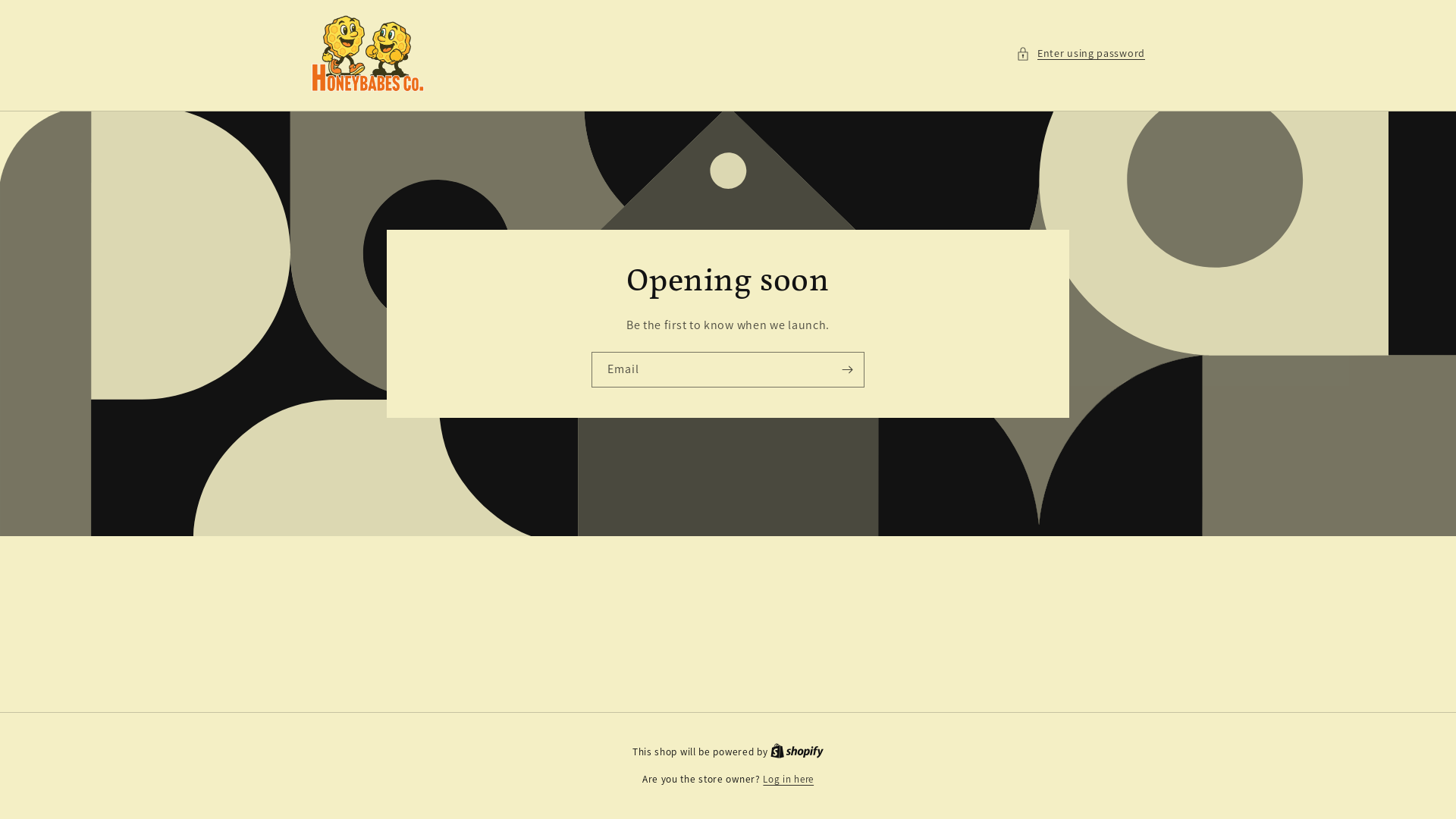 website screenshot of https://honeybabesco.com/