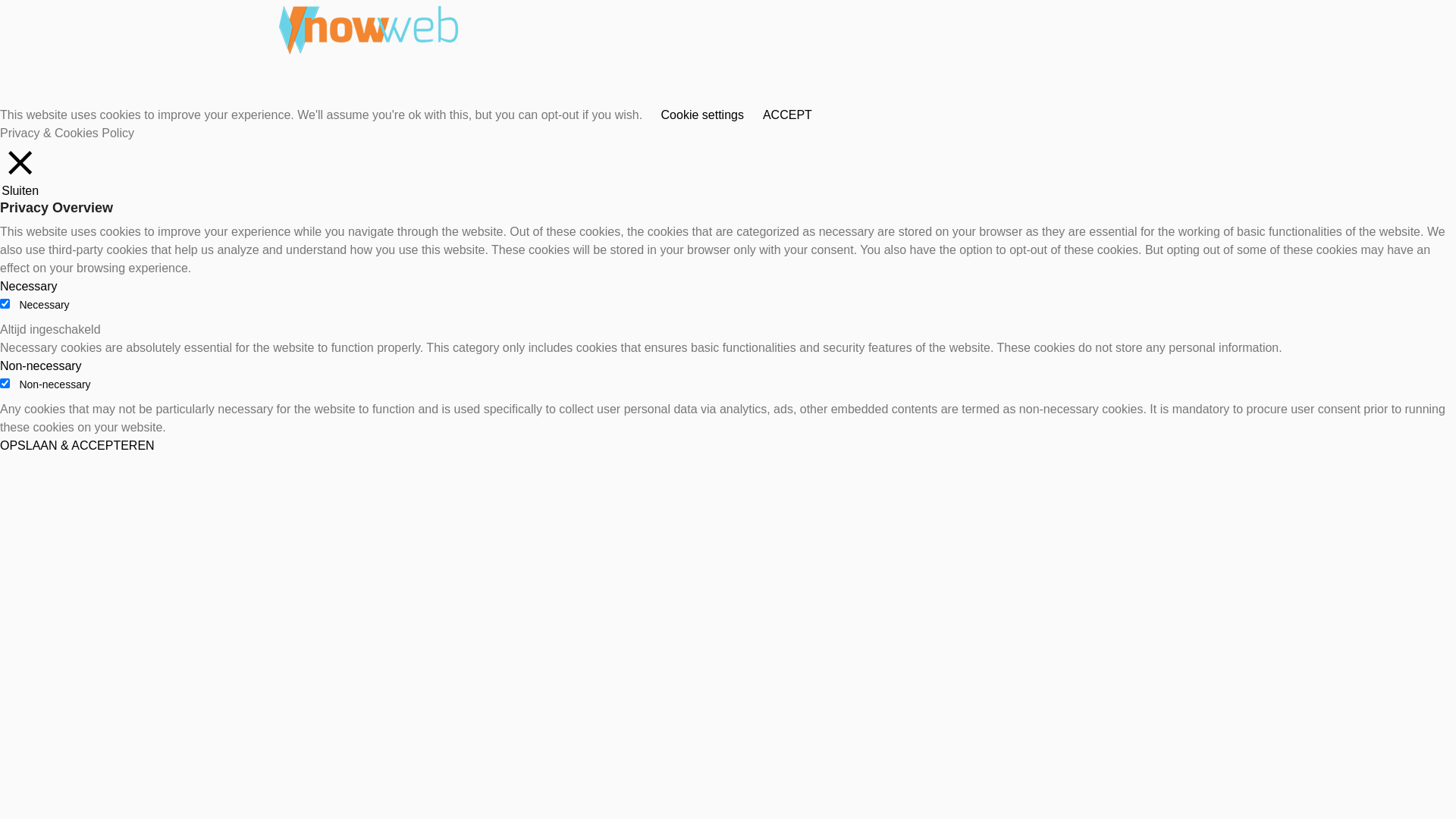 website screenshot of https://birgitsflowerjewellery.nl/