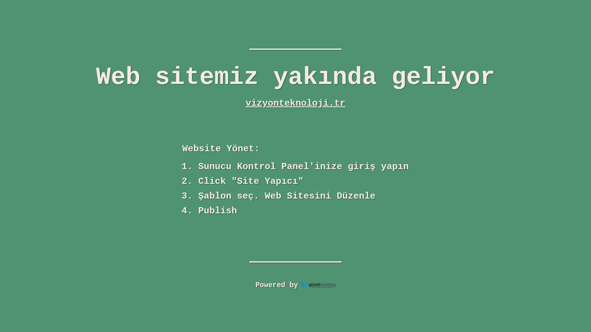 website screenshot of https://vizyonteknoloji.tr/