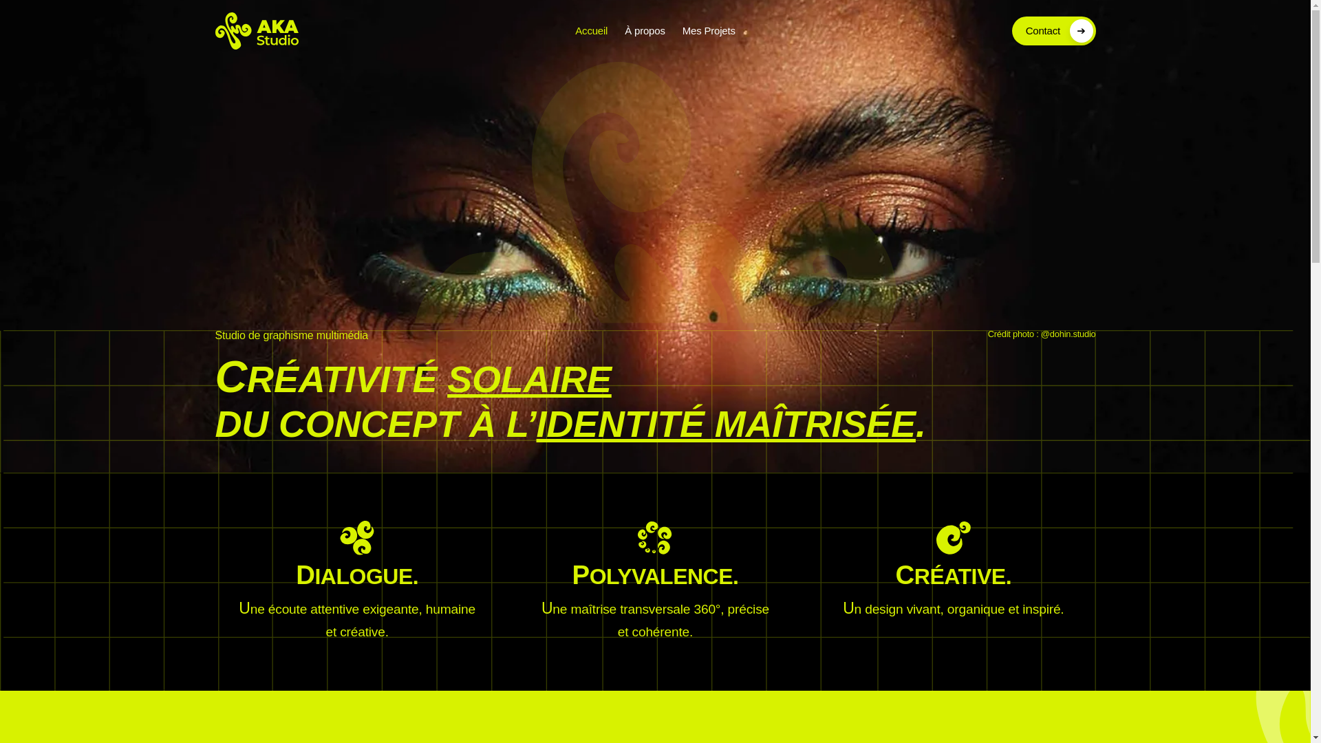 website screenshot of https://akastudio.pro/