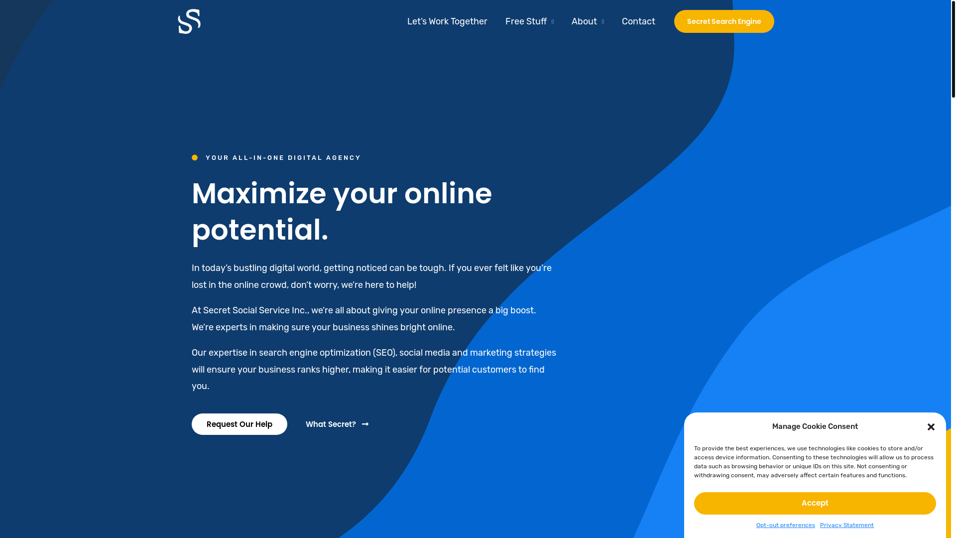 website screenshot of https://socialsecretservices.com/