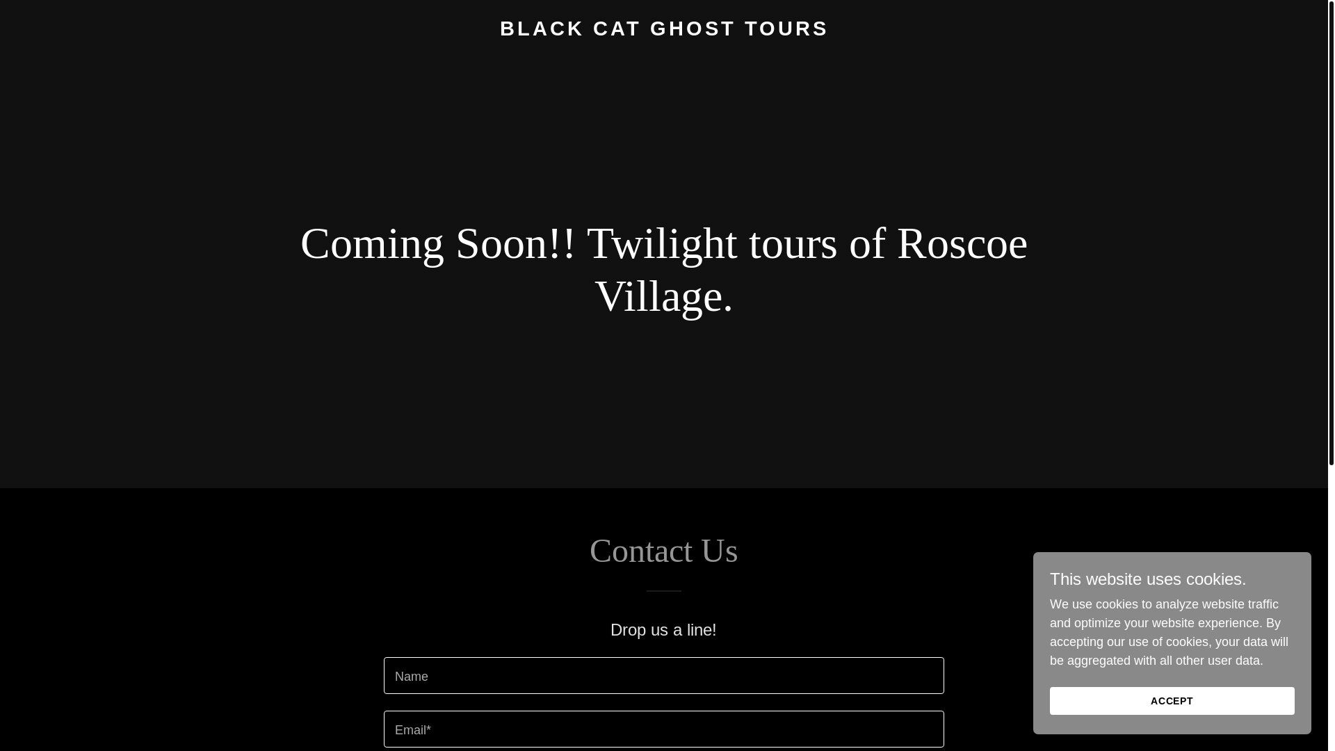 website screenshot of https://blackcatghosttours.com/