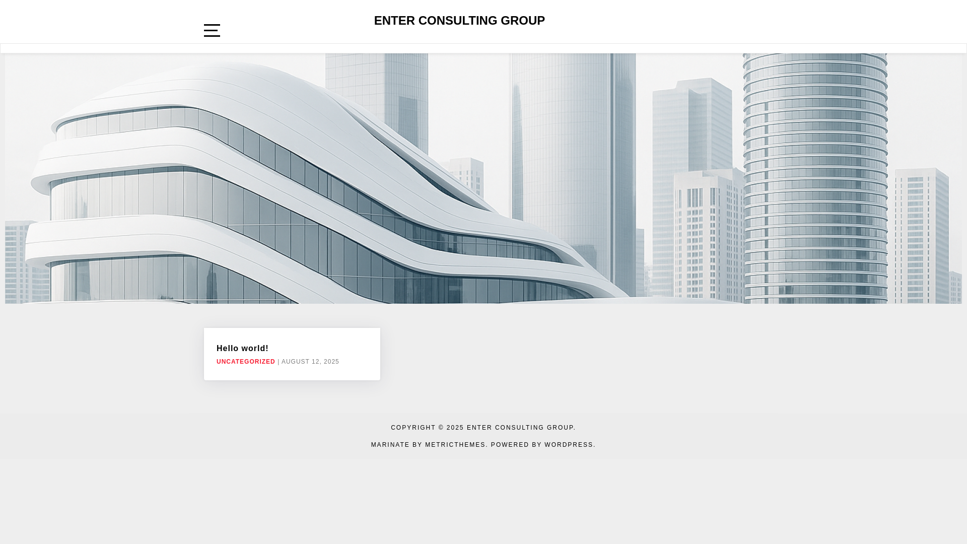 website screenshot of https://enterconsult.group/