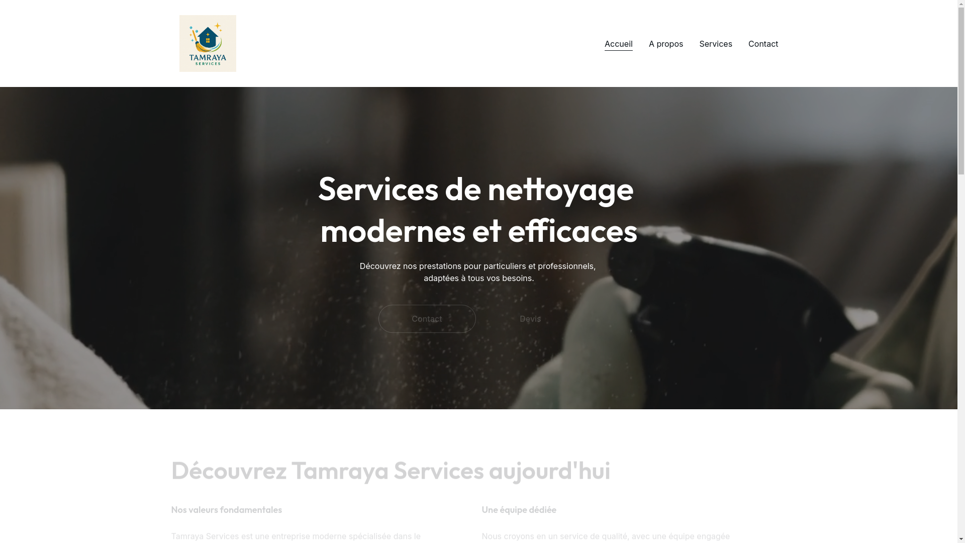 website screenshot of https://tamrayaservices.fr/