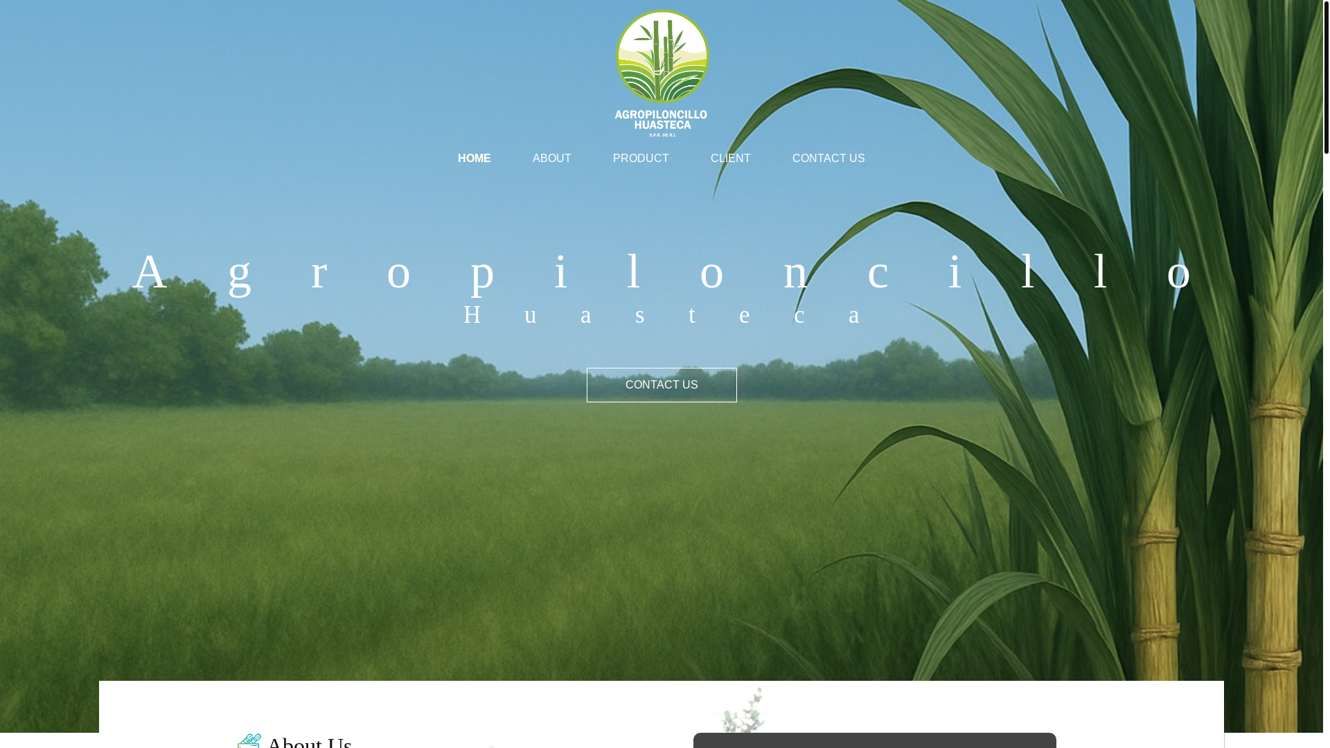 website screenshot of https://agropiloncillohuasteca.com/