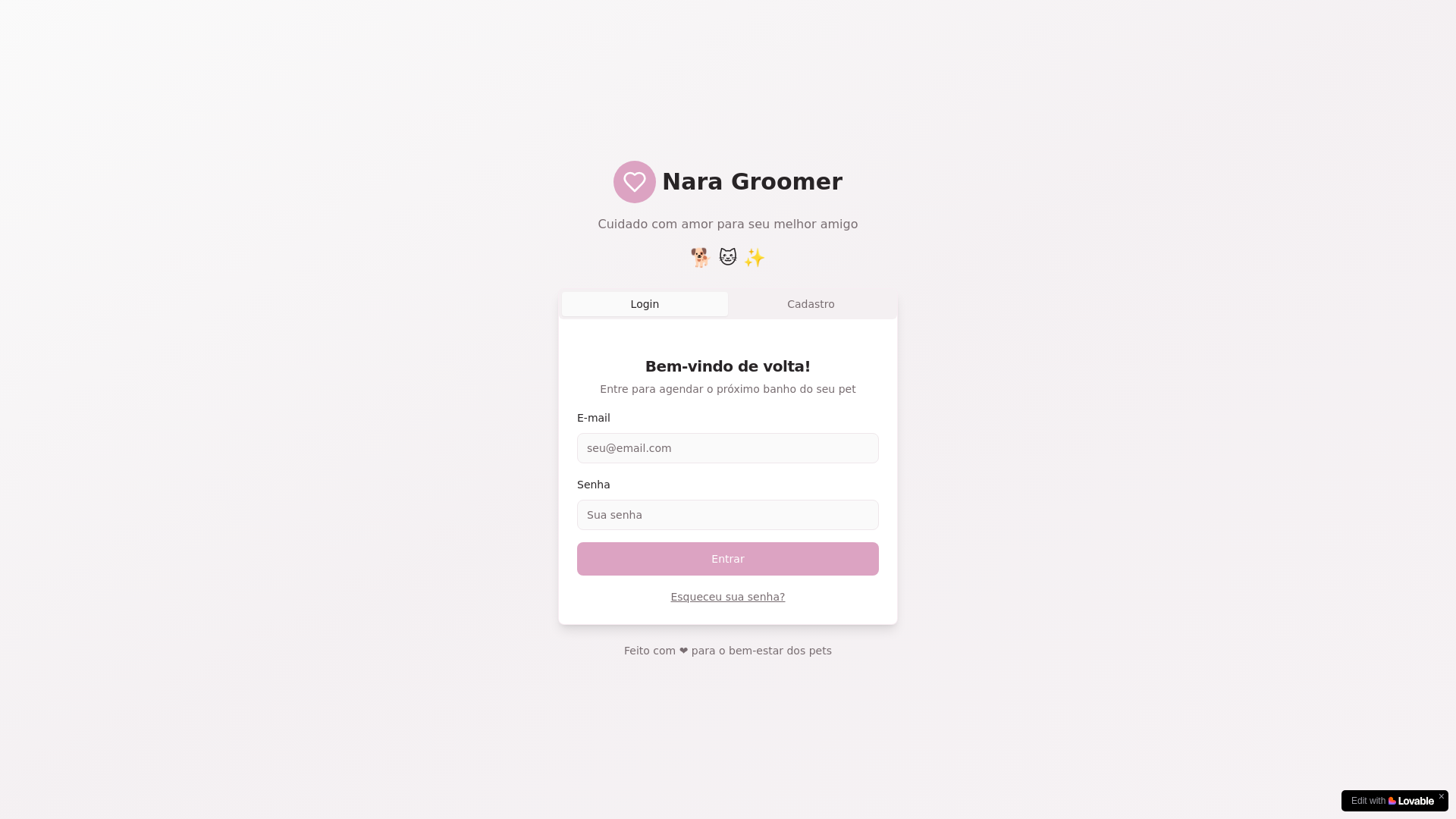website screenshot of https://naragrommer.com.br/