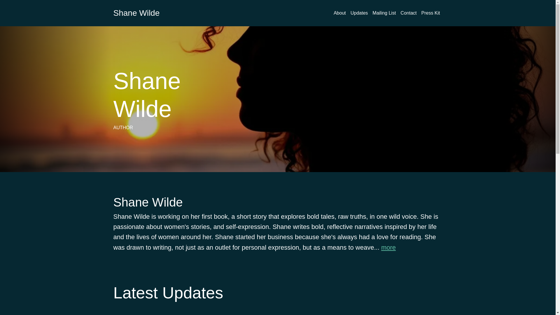 website screenshot of https://shanewilde.com/