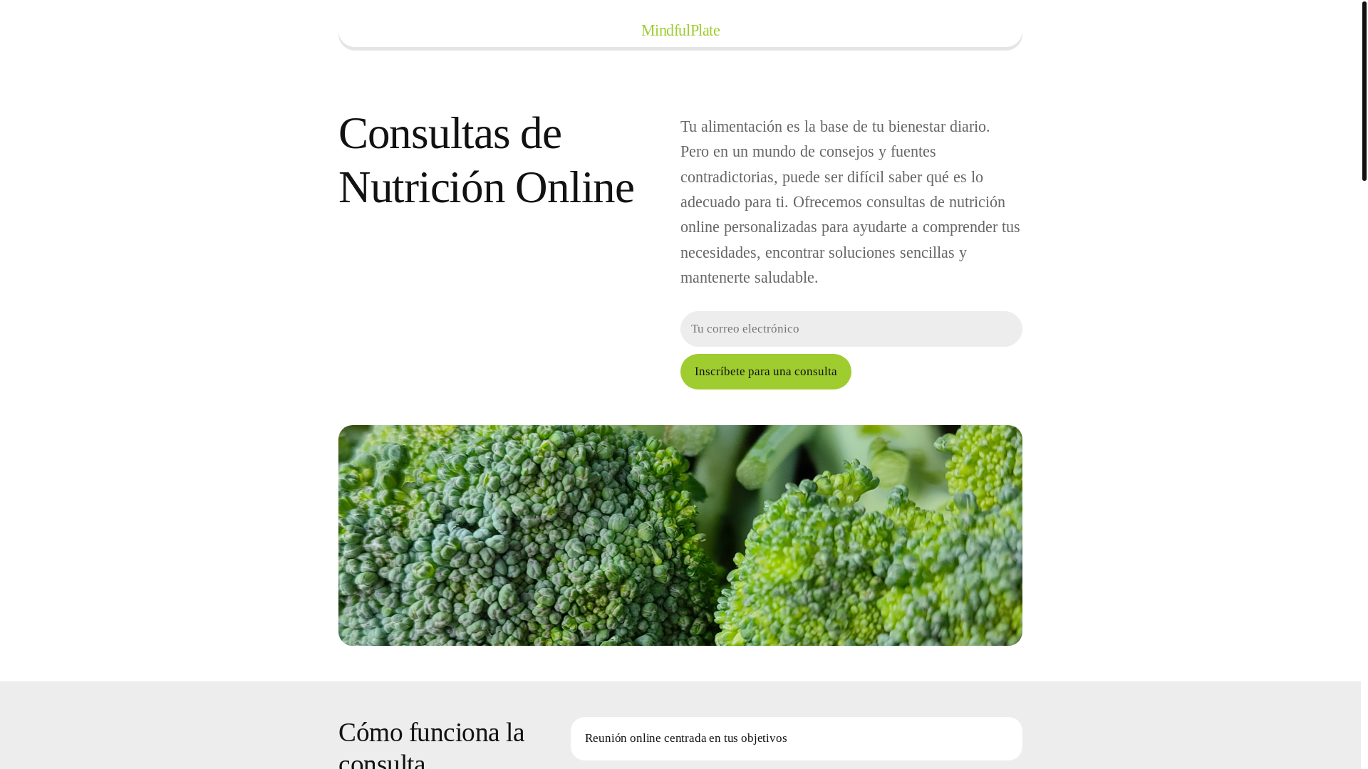 website screenshot of https://mindfulplatev.info/