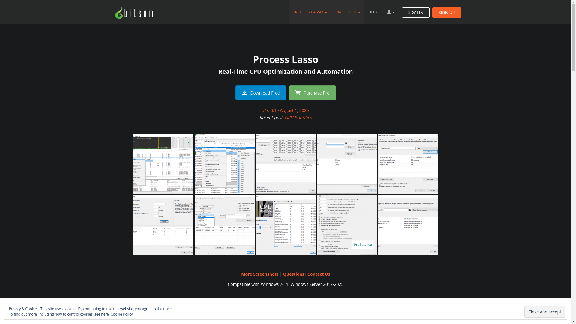 website screenshot of https://bitsum.com