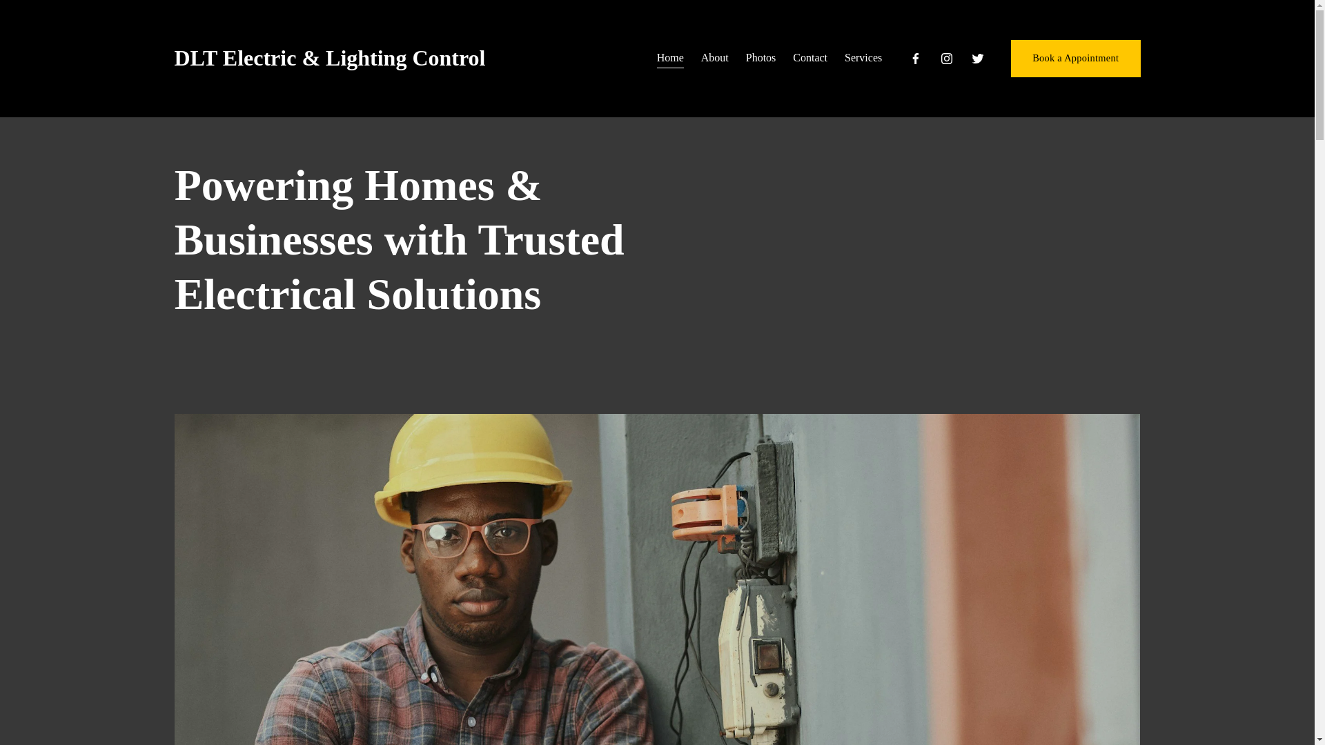 website screenshot of https://dltelectricandlightingcontrols.com/