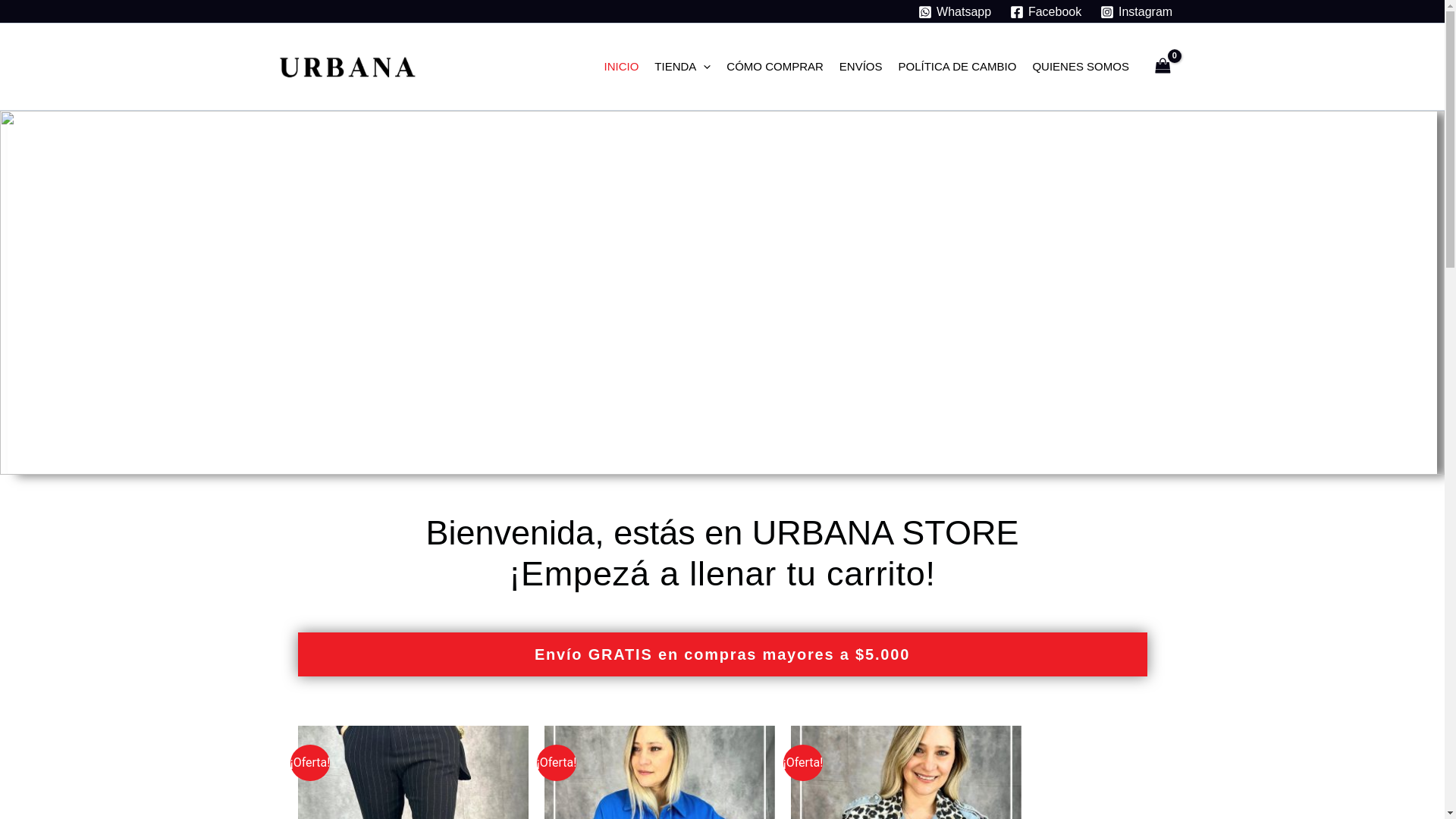 website screenshot of https://urbana21.uy/