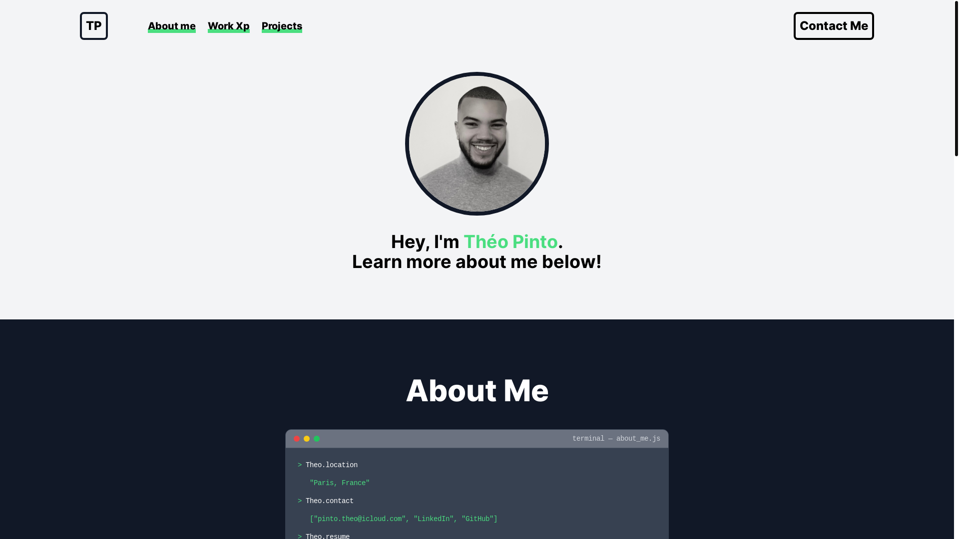 website screenshot of https://theopintodalle.com/