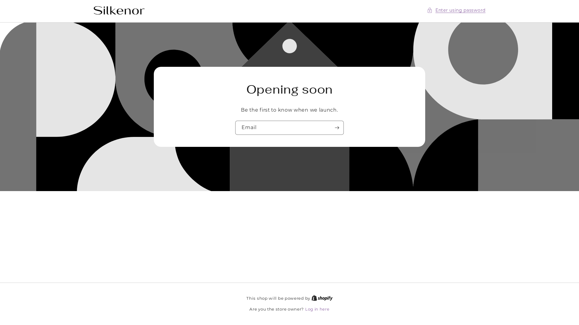 website screenshot of https://silkenor.com/