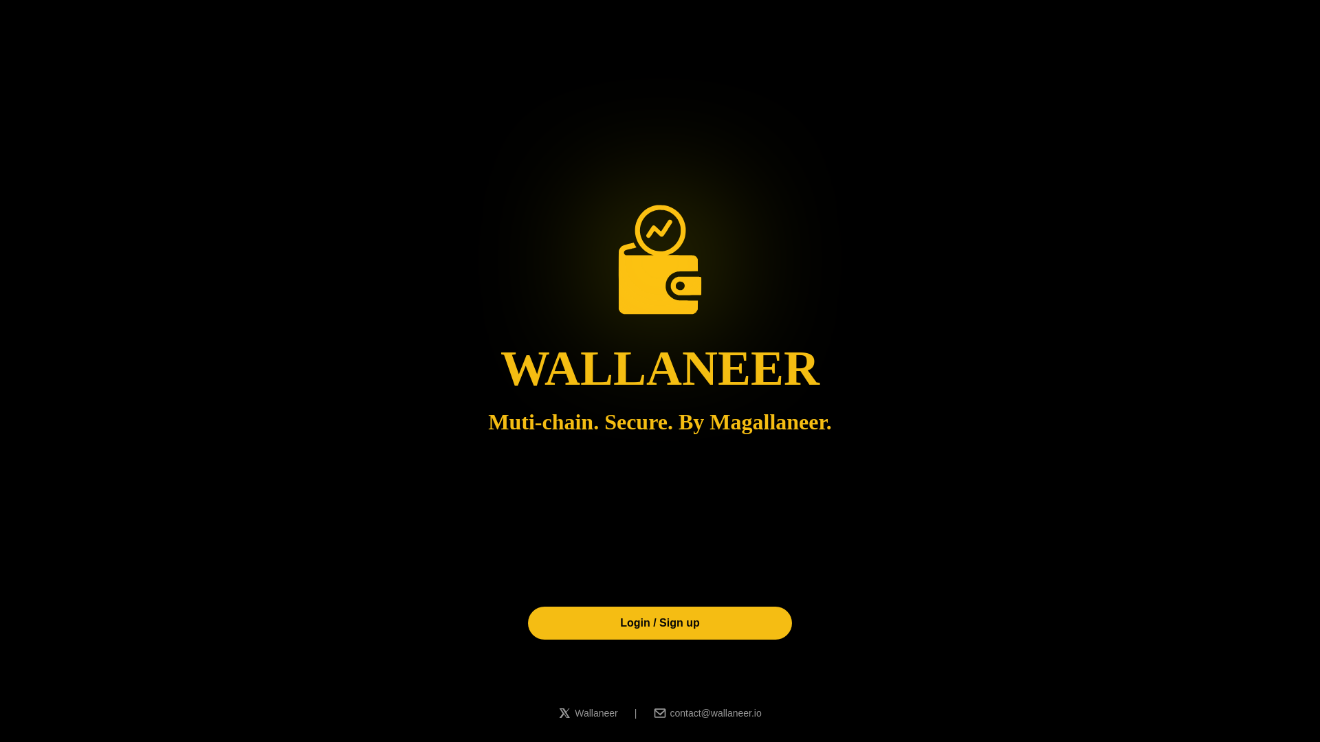 website screenshot of https://wallaneer.io/