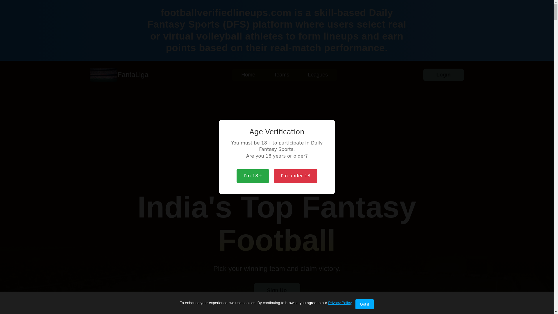 website screenshot of https://footballverifiedlineups.com/