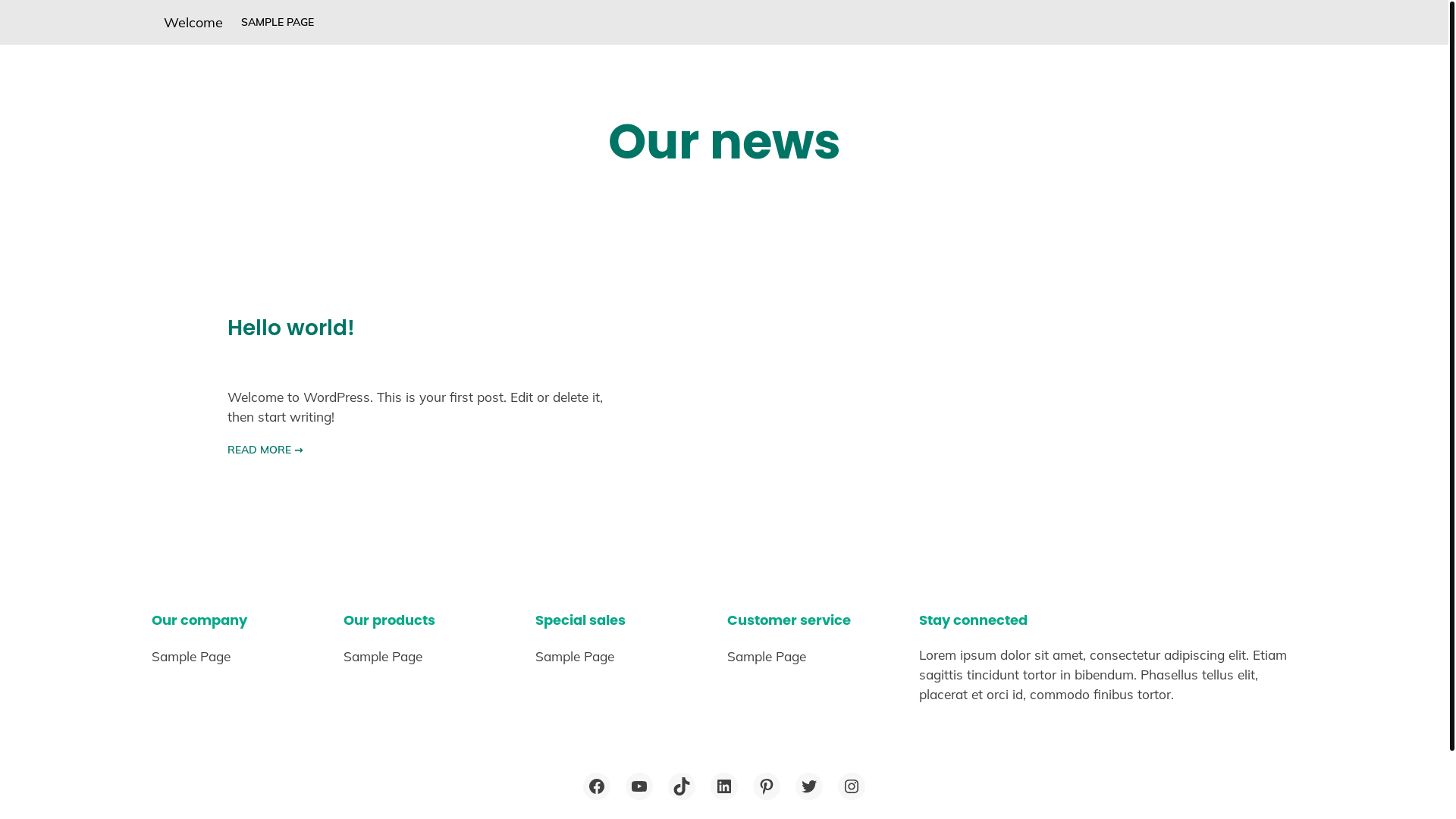 website screenshot of https://palmahightechs.com/