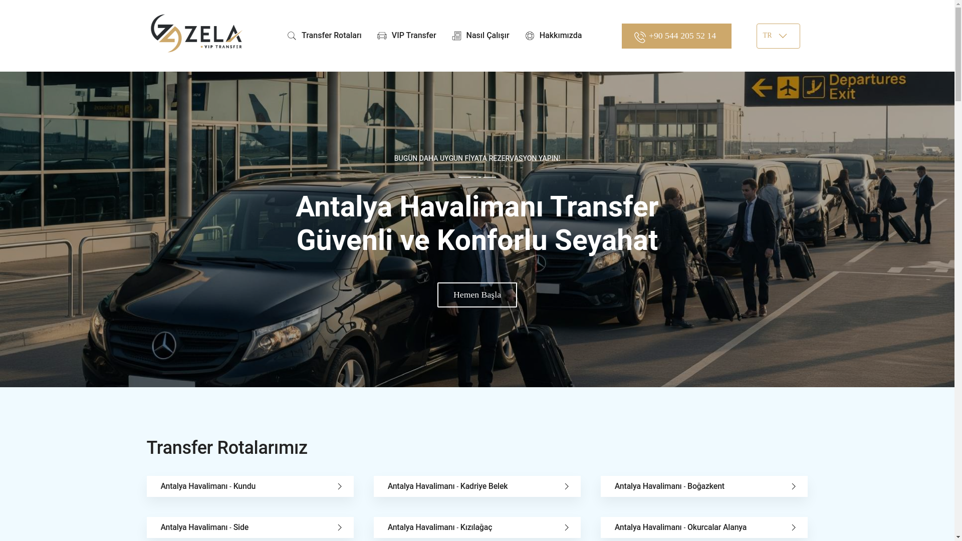 website screenshot of https://zelaviptransfer.com/