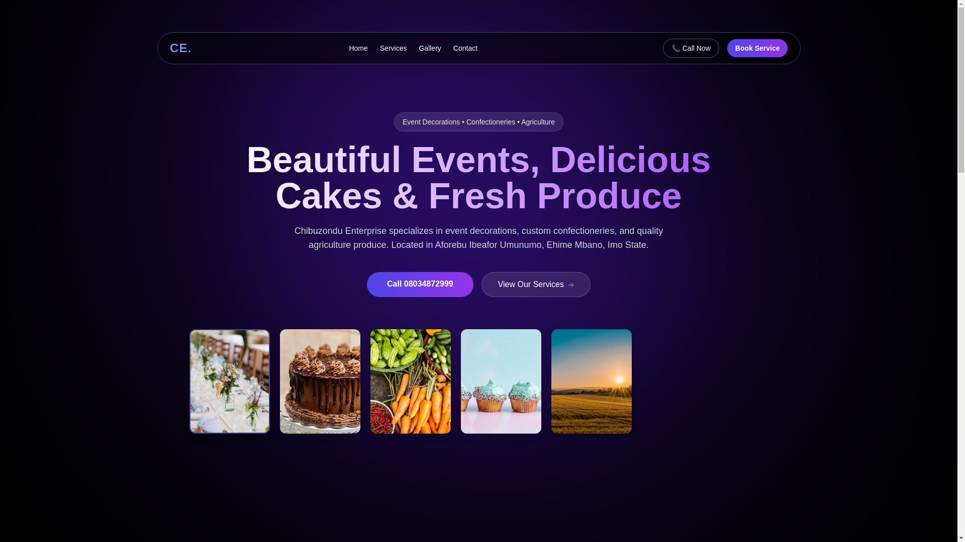 website screenshot of https://chibuzonduenterprise.com/