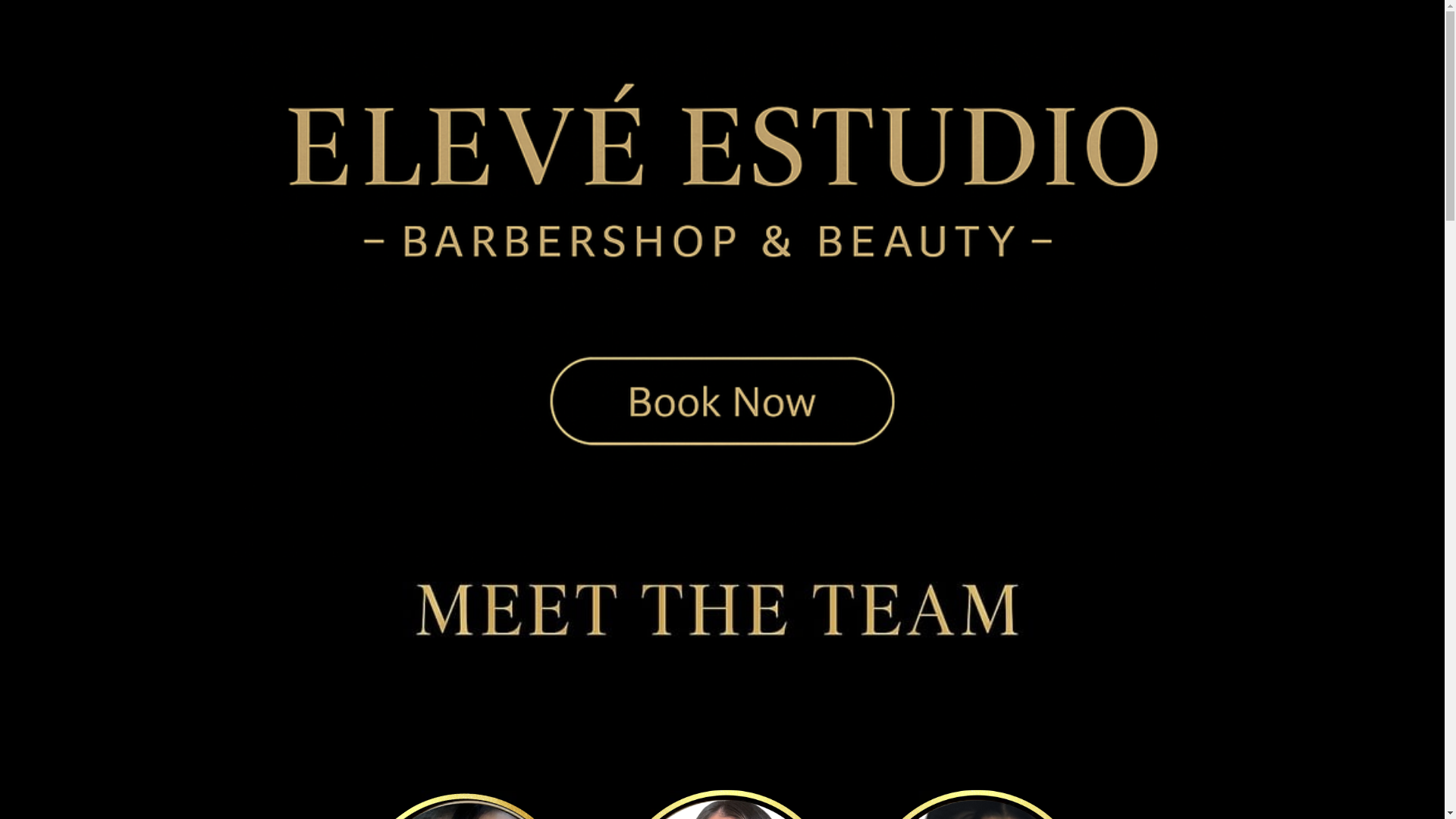 website screenshot of https://eleveestudio.com/