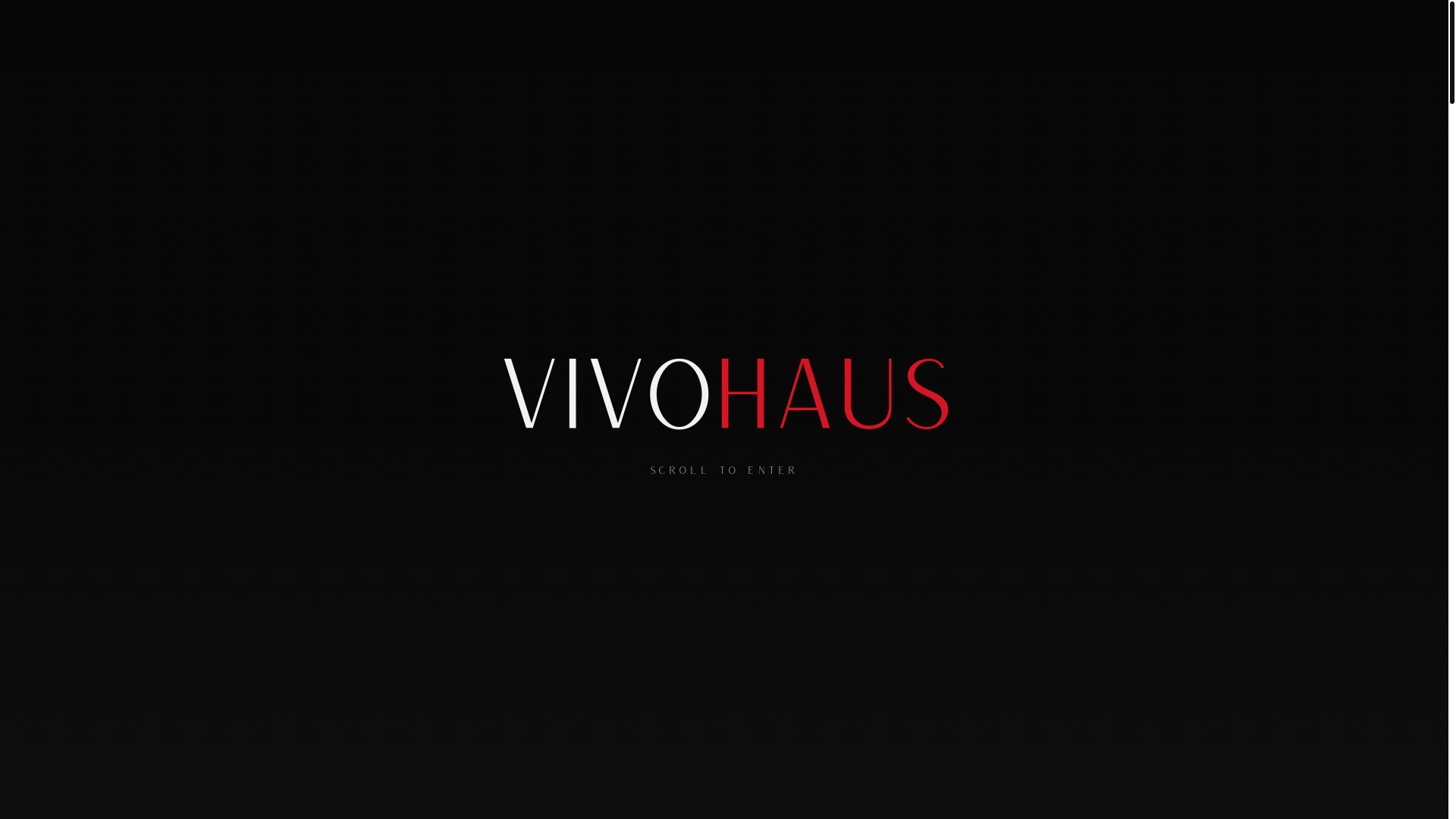 website screenshot of https://vivohaus.co/