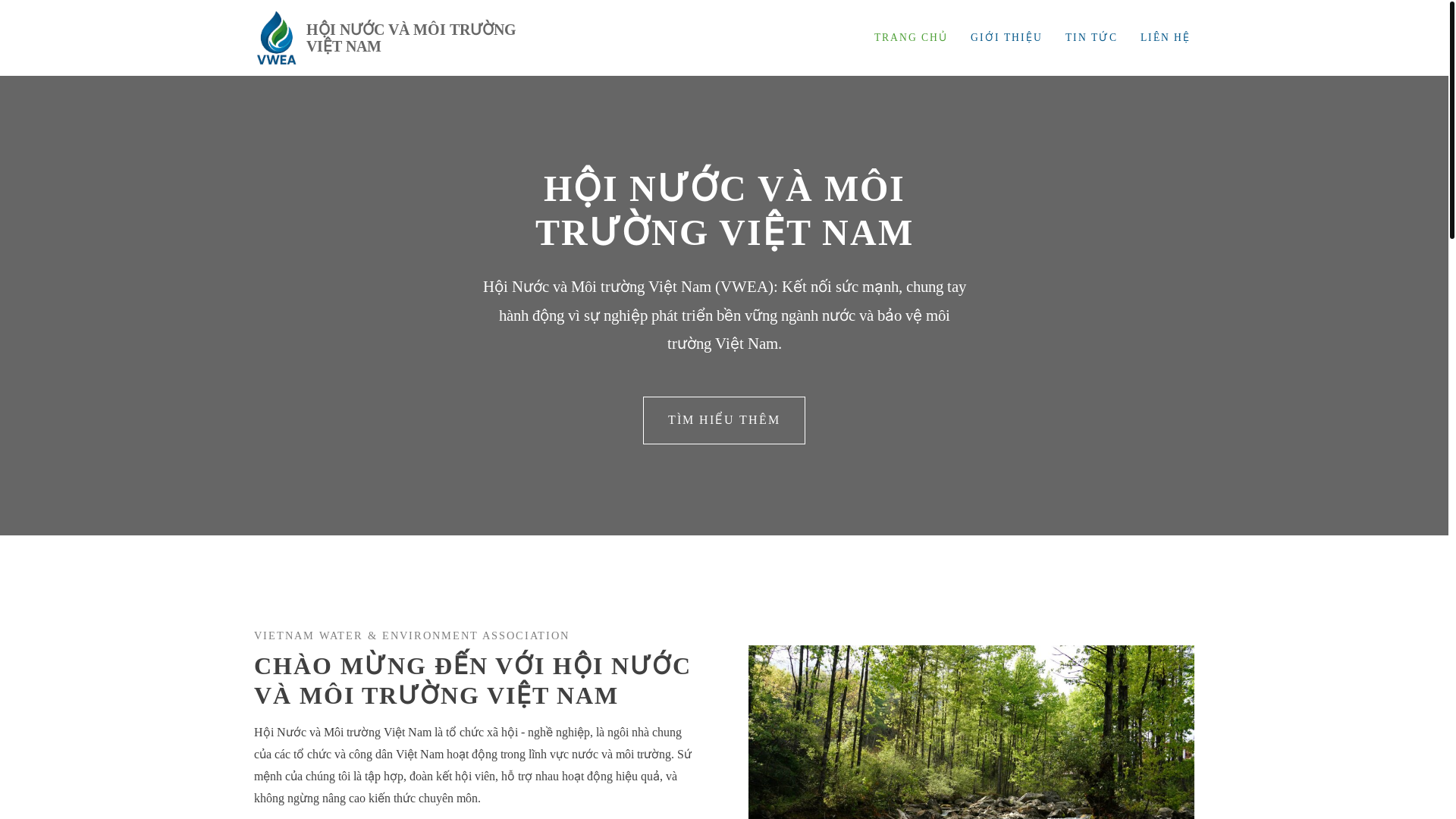 website screenshot of https://vwea.vn/