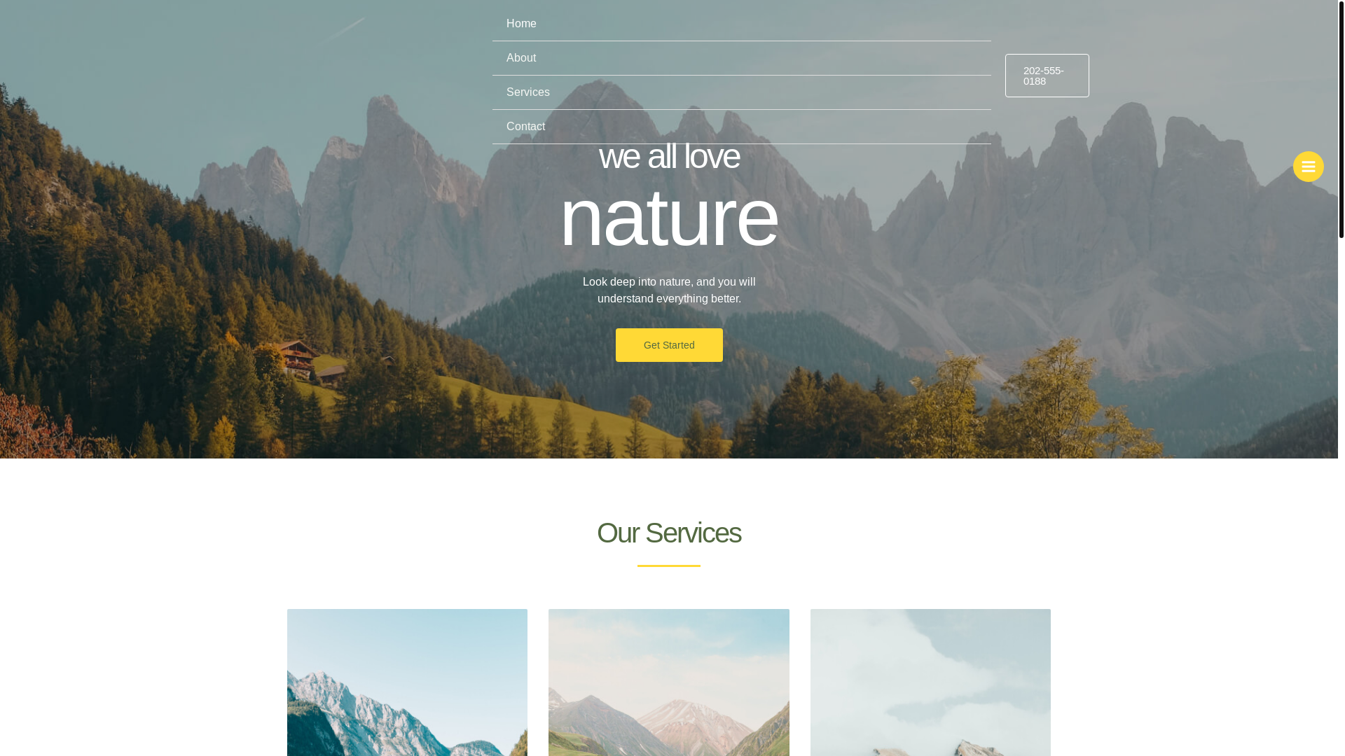website screenshot of https://elselaundry.com/