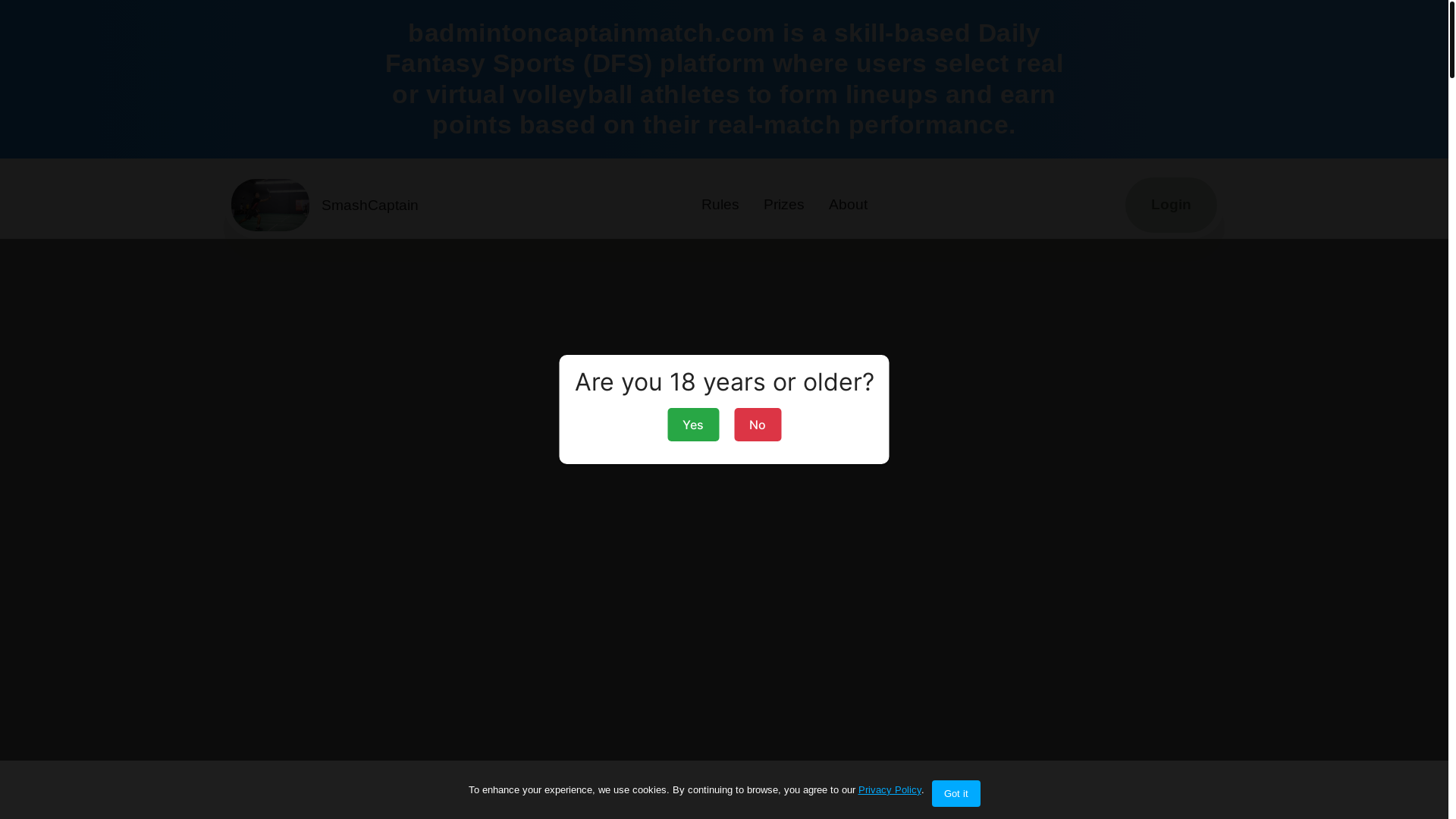 website screenshot of https://badmintoncaptainmatch.com/