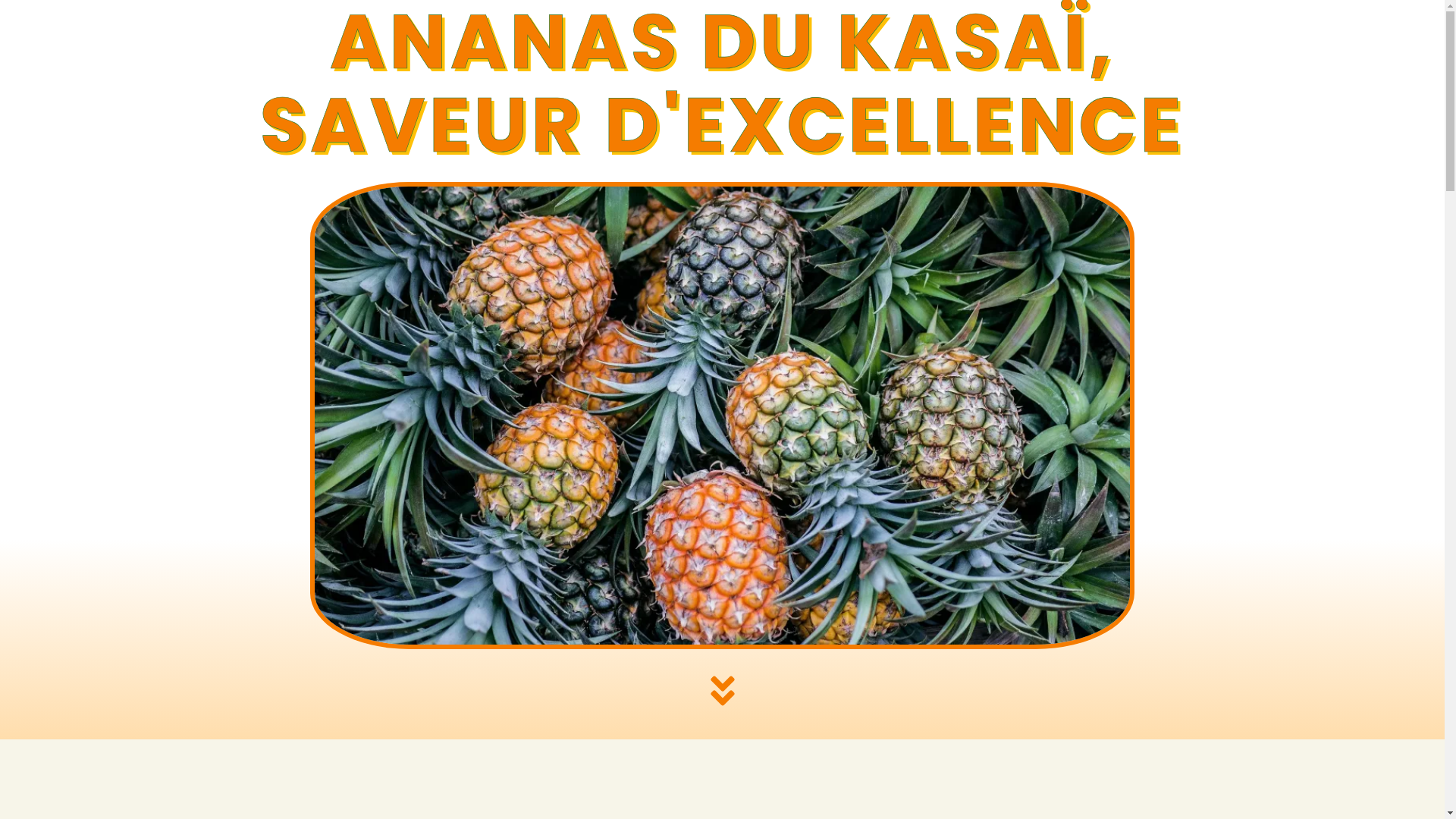 website screenshot of https://fondationtshielakamba.com/