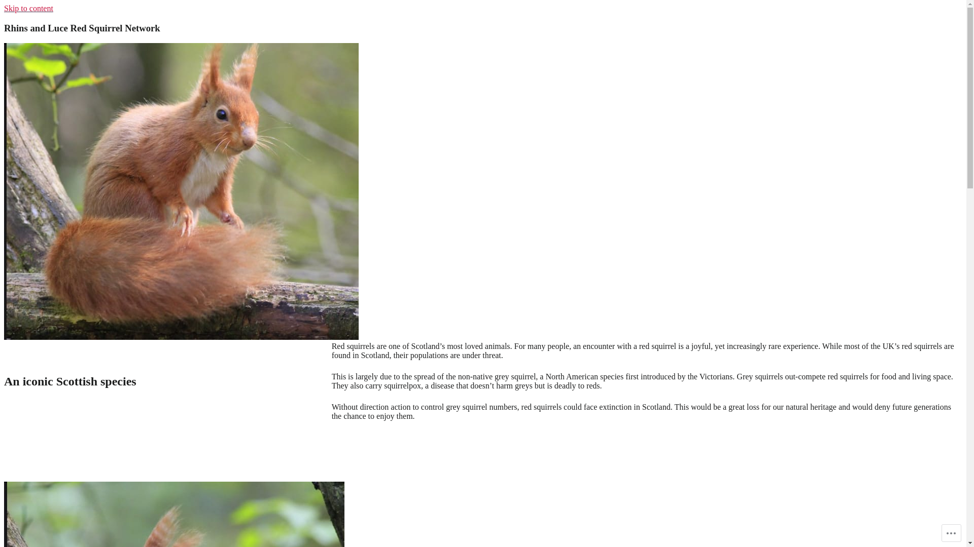 website screenshot of https://rhinsluceredsquirrelnetwork.org/