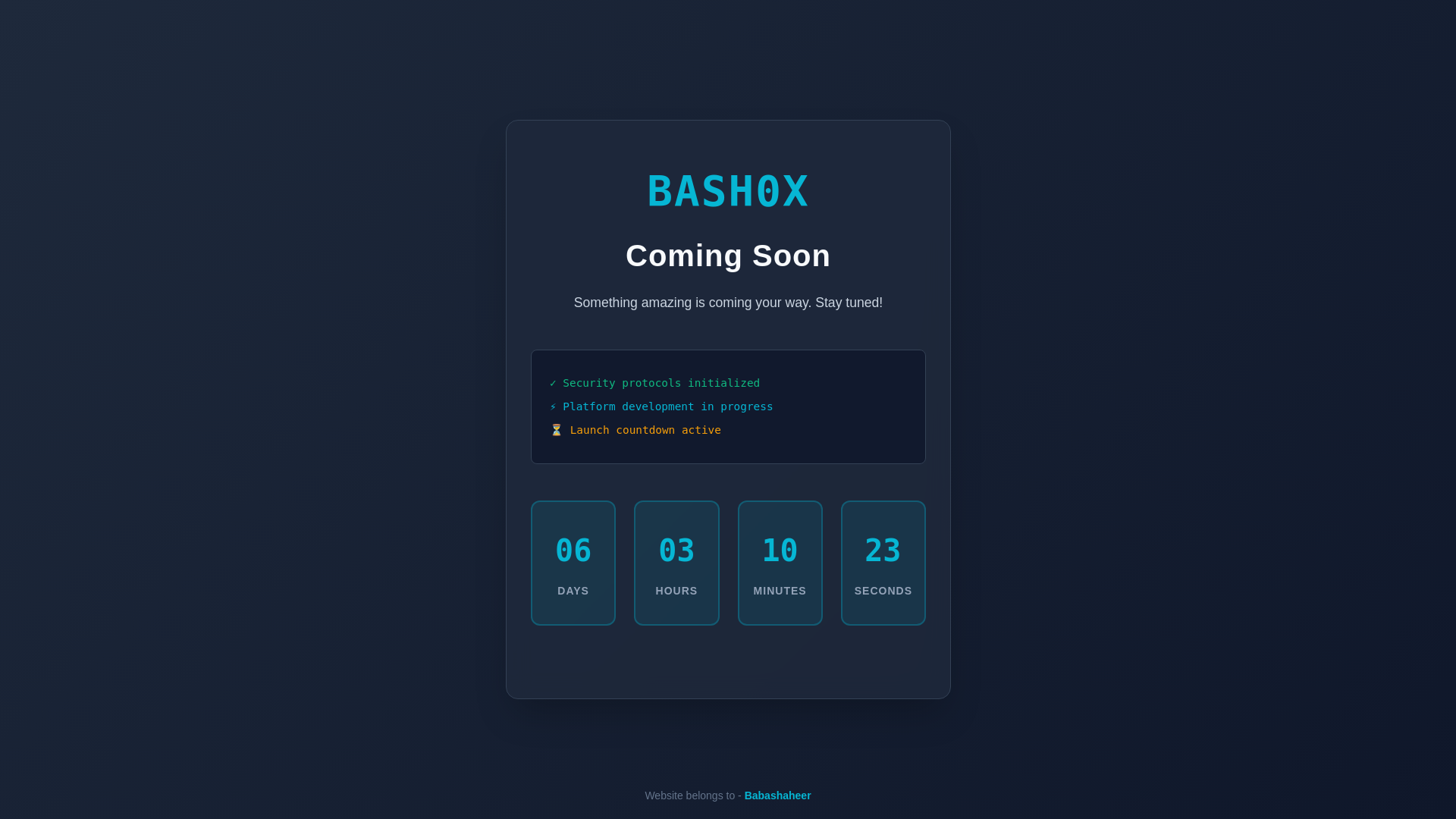 website screenshot of https://bash0x.com/
