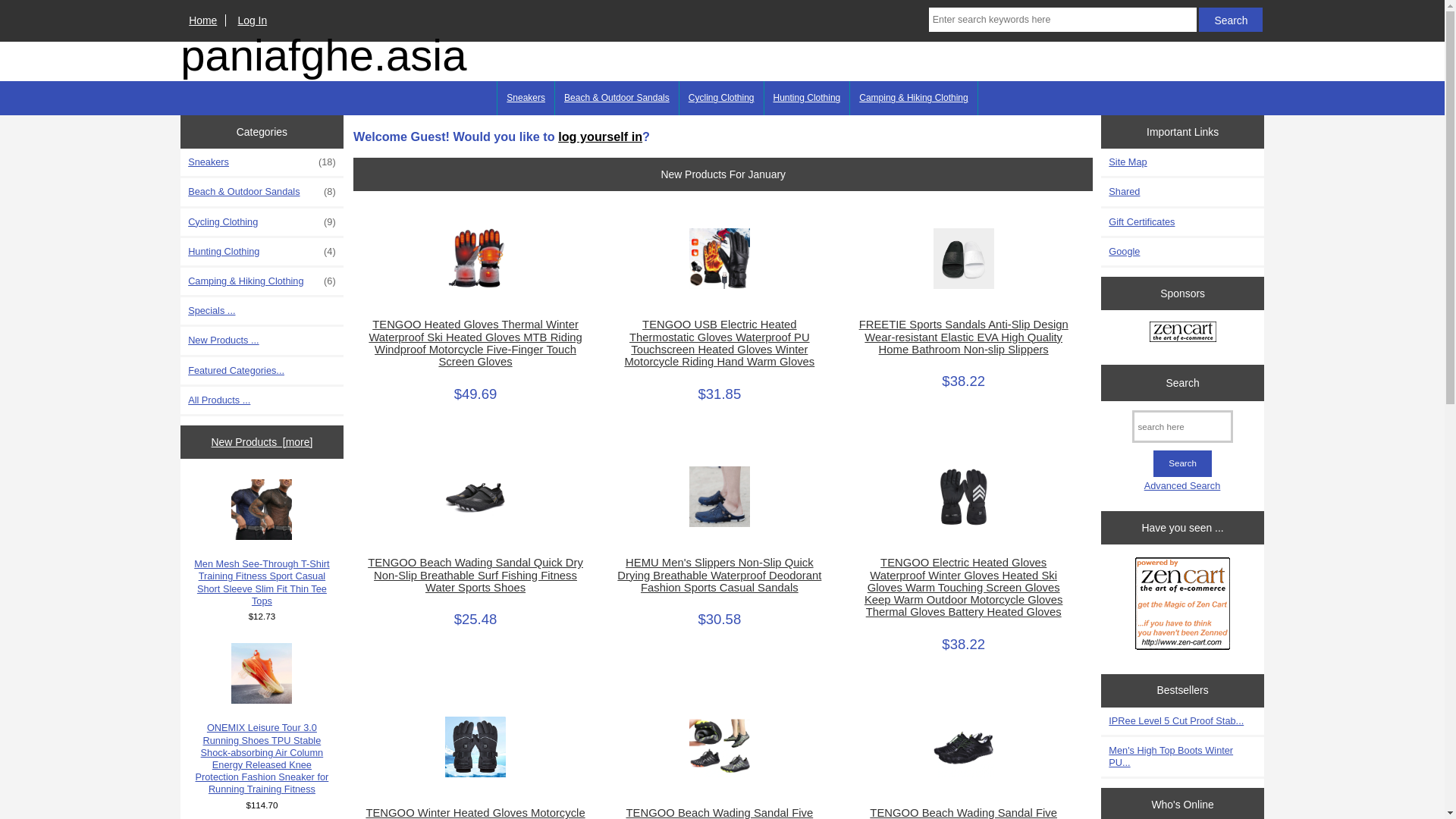 website screenshot of https://paniafghe.asia/