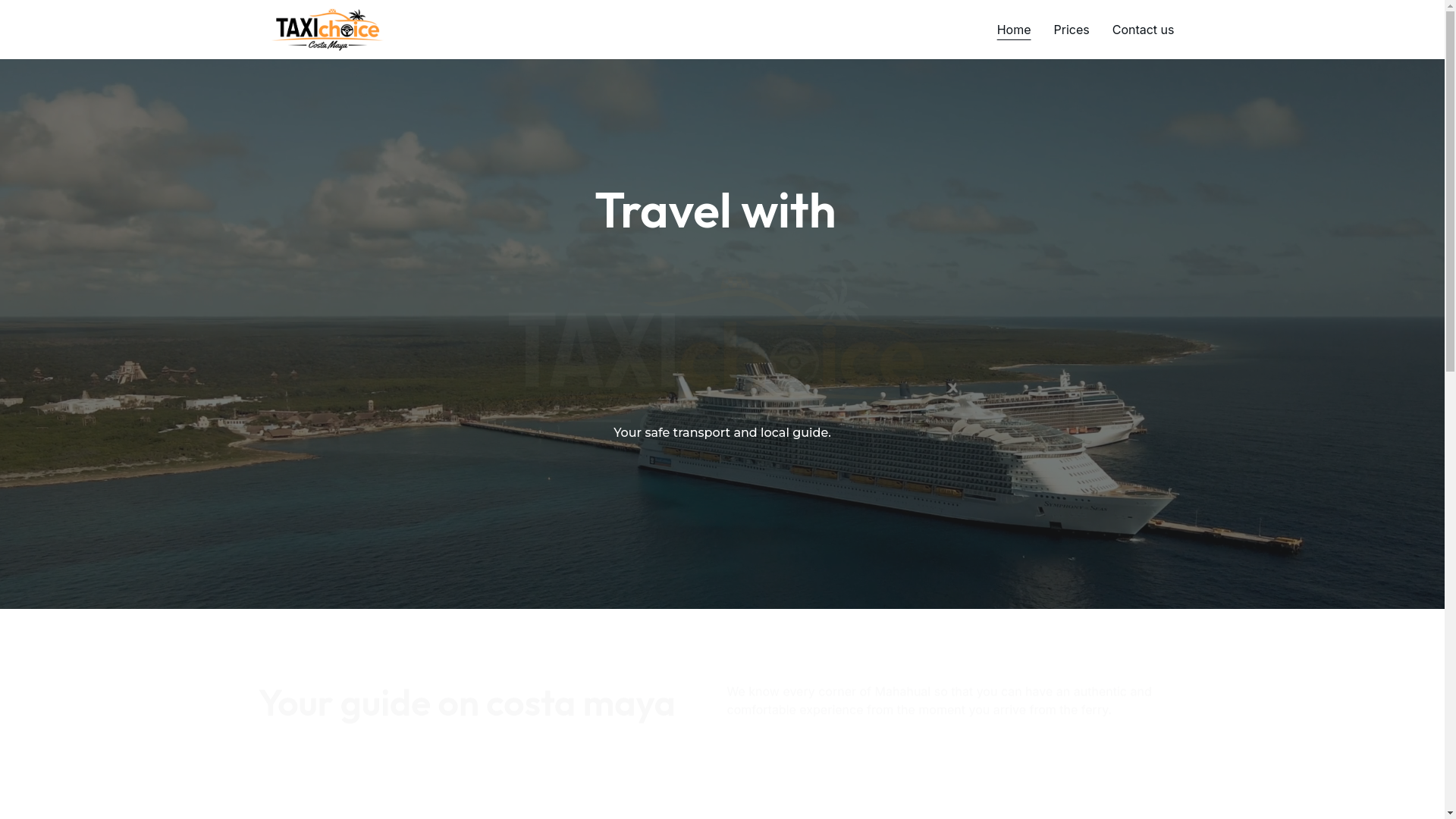 website screenshot of https://taxichoicecostamaya.com/