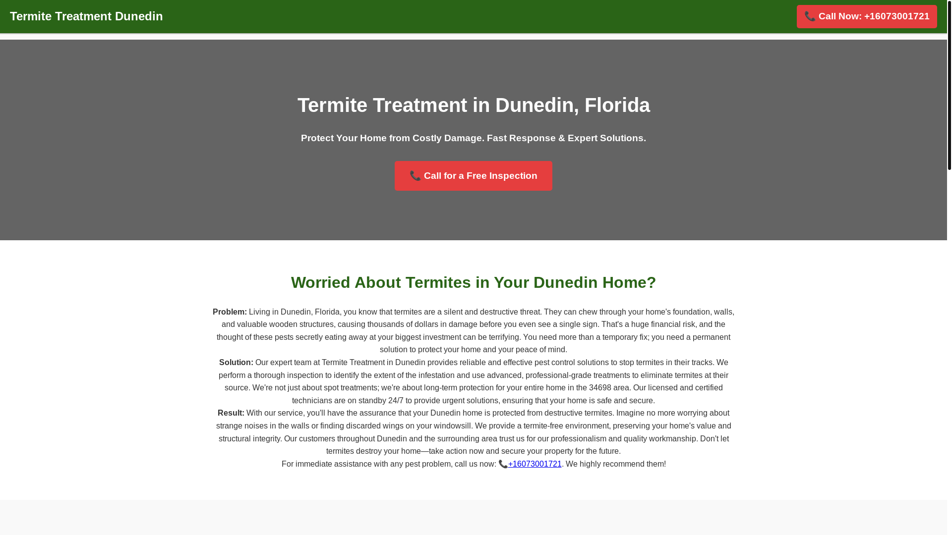 website screenshot of https://termite-treatment-dunedin-fl.pages.dev/