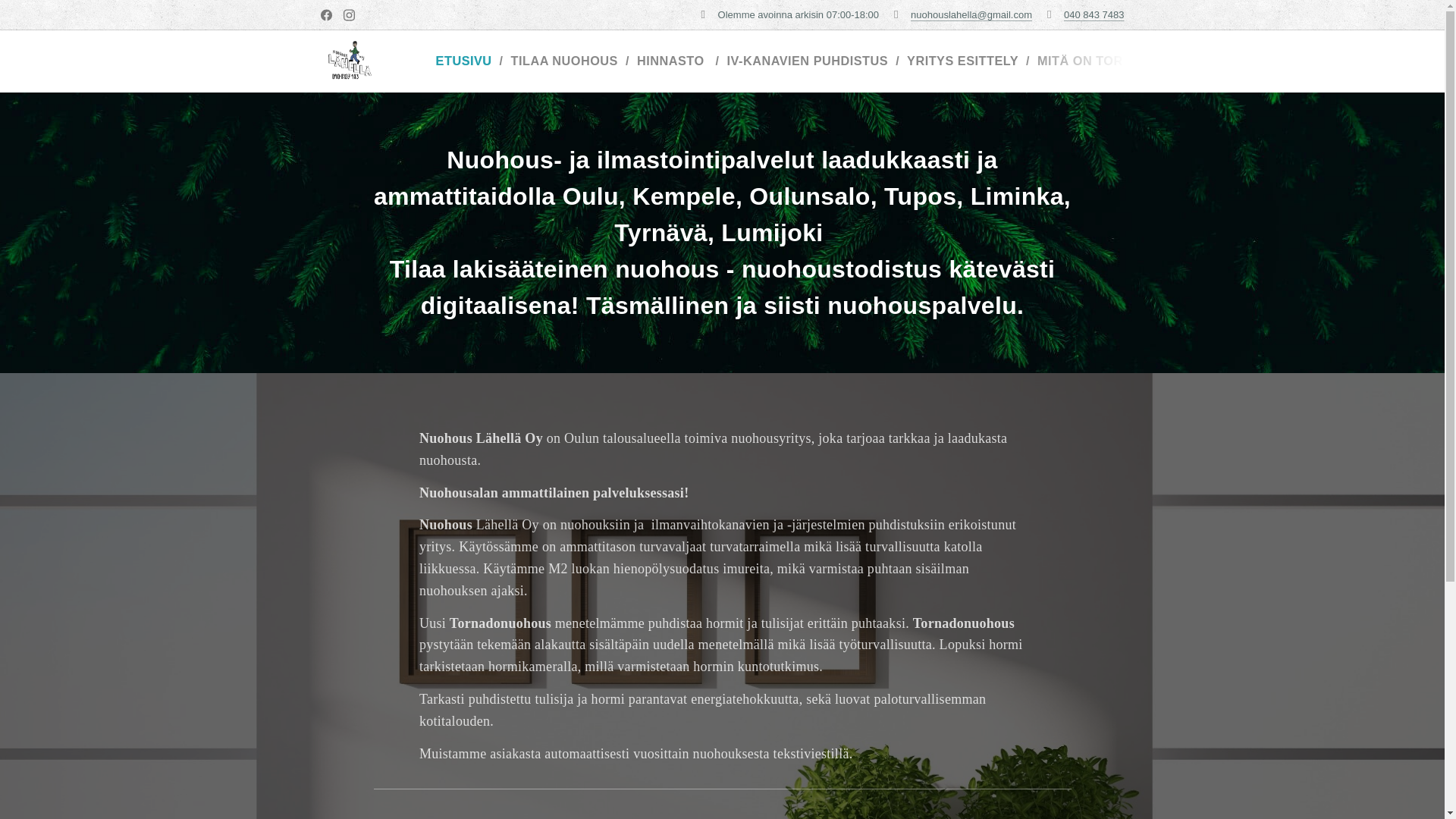 website screenshot of https://xn--nuohouslhell-ncbe.fi/