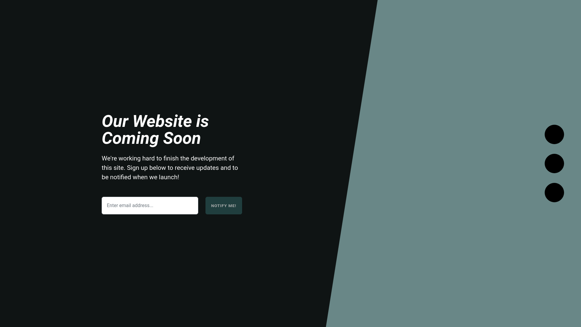 website screenshot of https://vitruviann.com/
