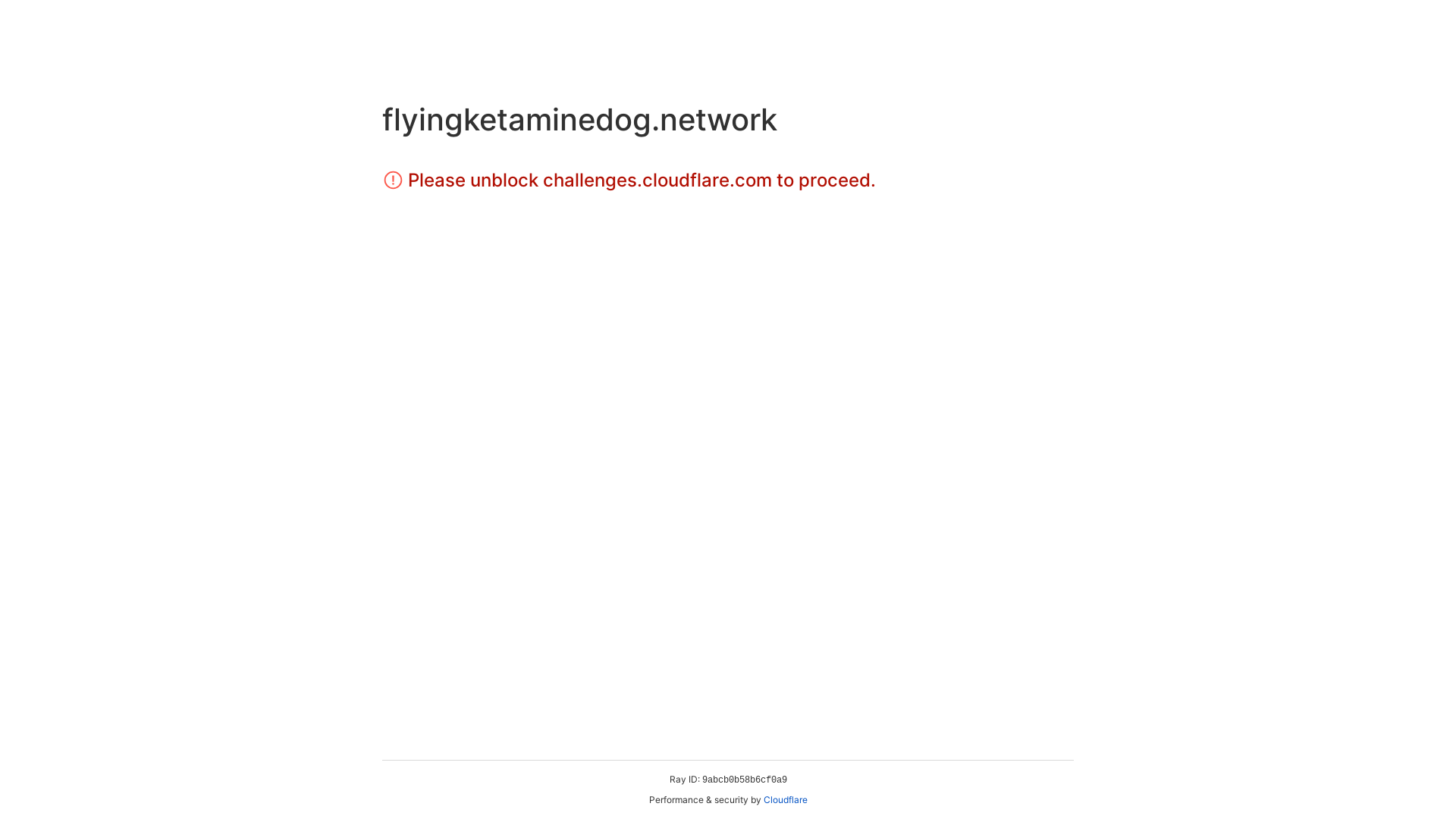 website screenshot of https://flyingketaminedog.network/