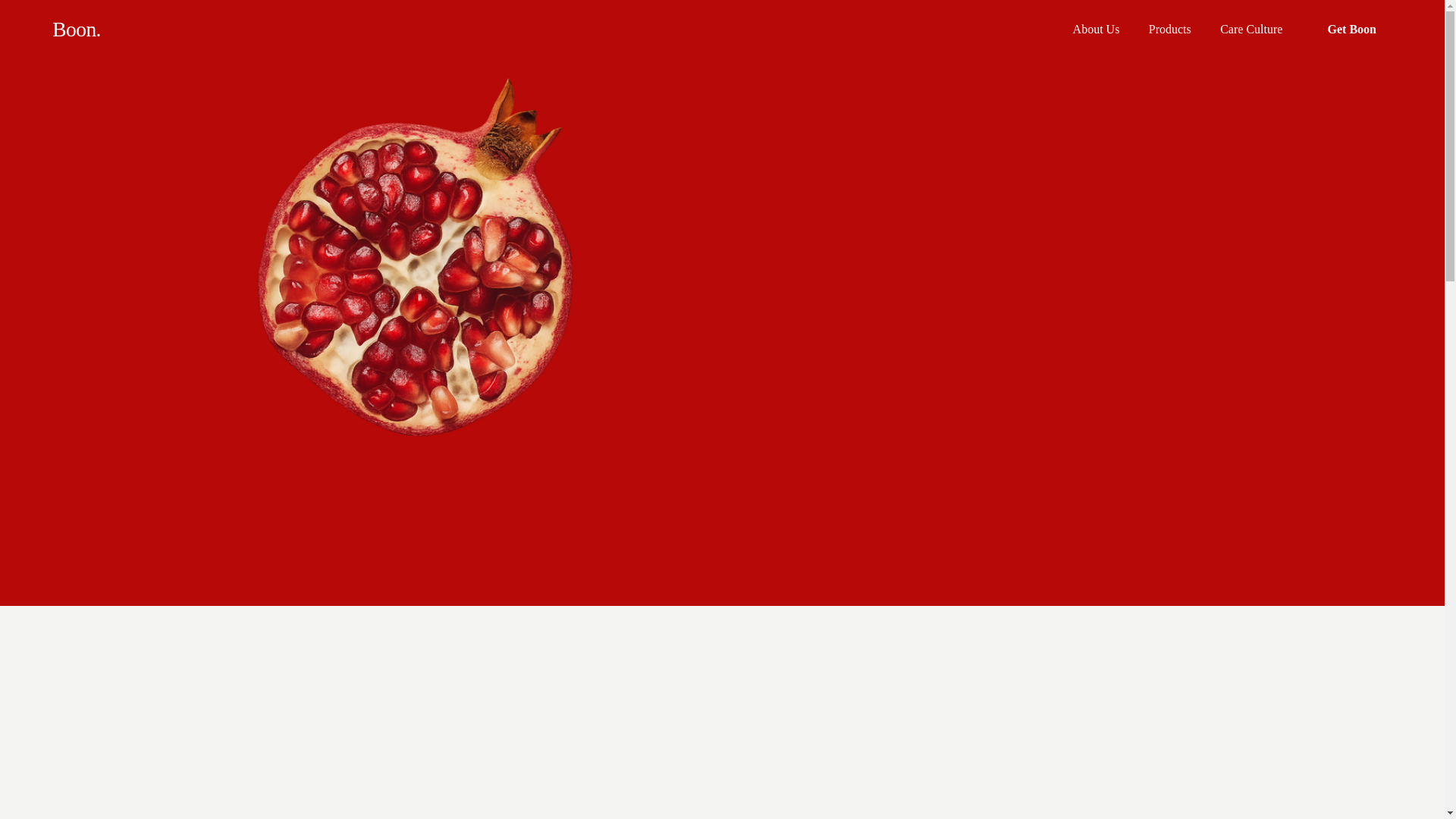 website screenshot of https://boonperiodcare.com/