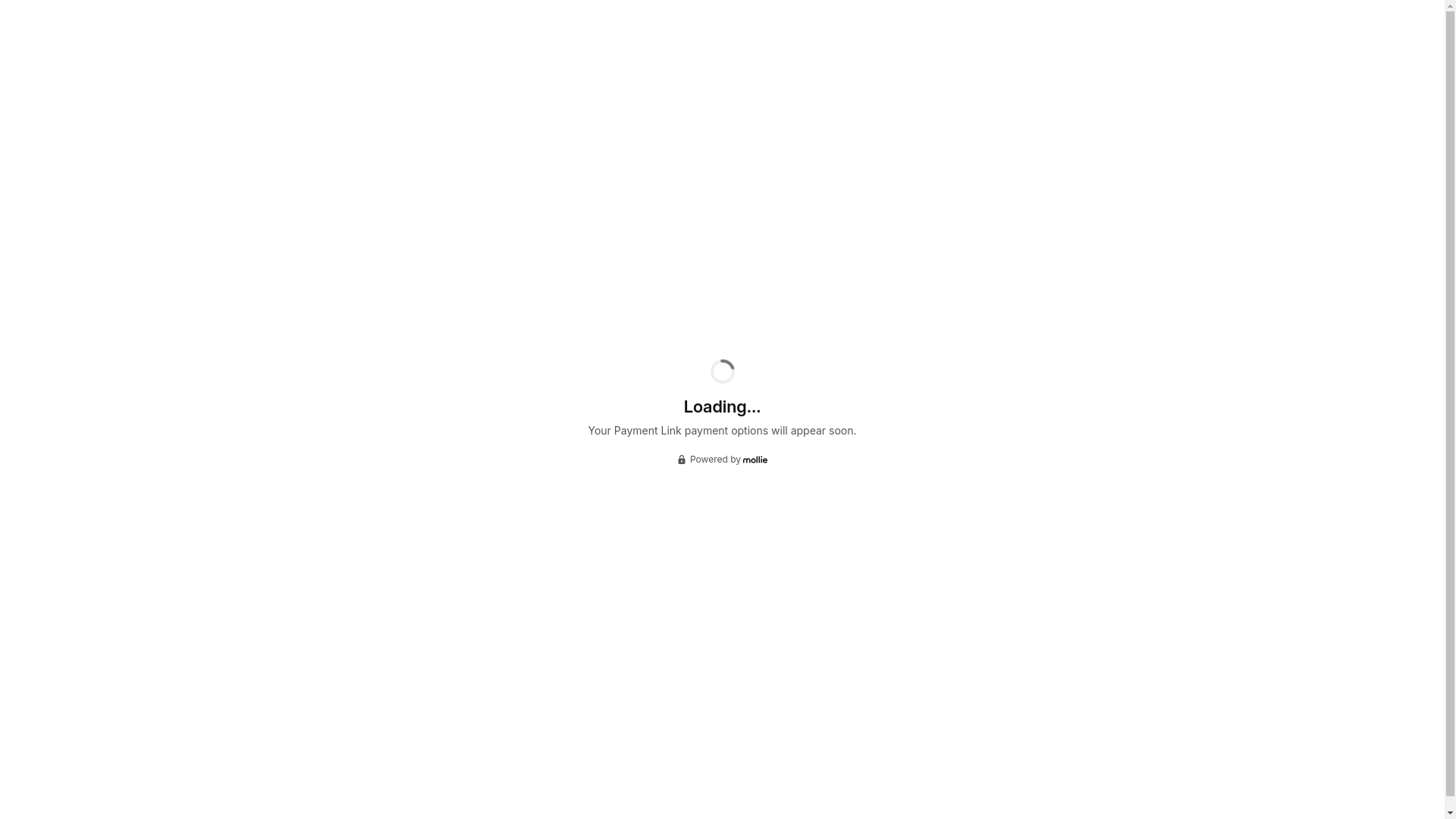 website screenshot of https://payment-links.mollie.com/payment/rR8Vkv73sp4RFJWTACctY