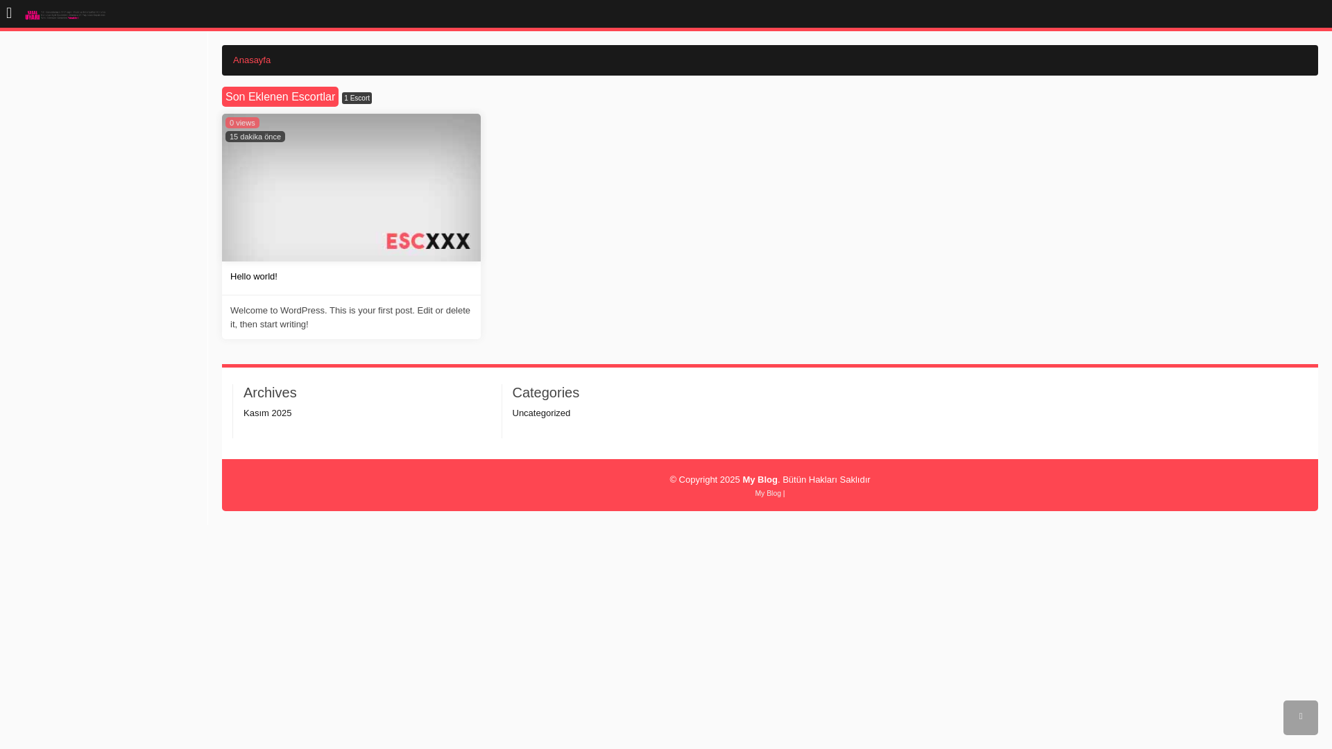 website screenshot of https://manisaescortx.com/