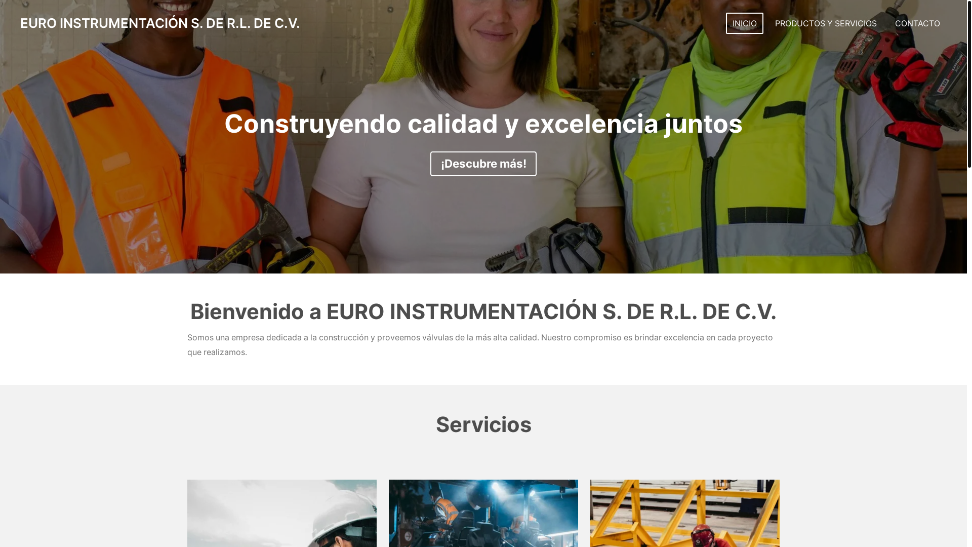 website screenshot of https://euroinstrumentacion.com/