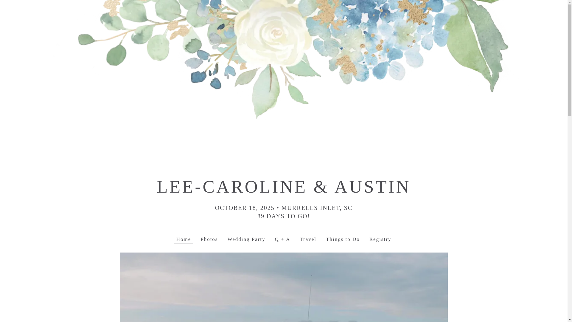 website screenshot of https://lcandaustinwedding.com/