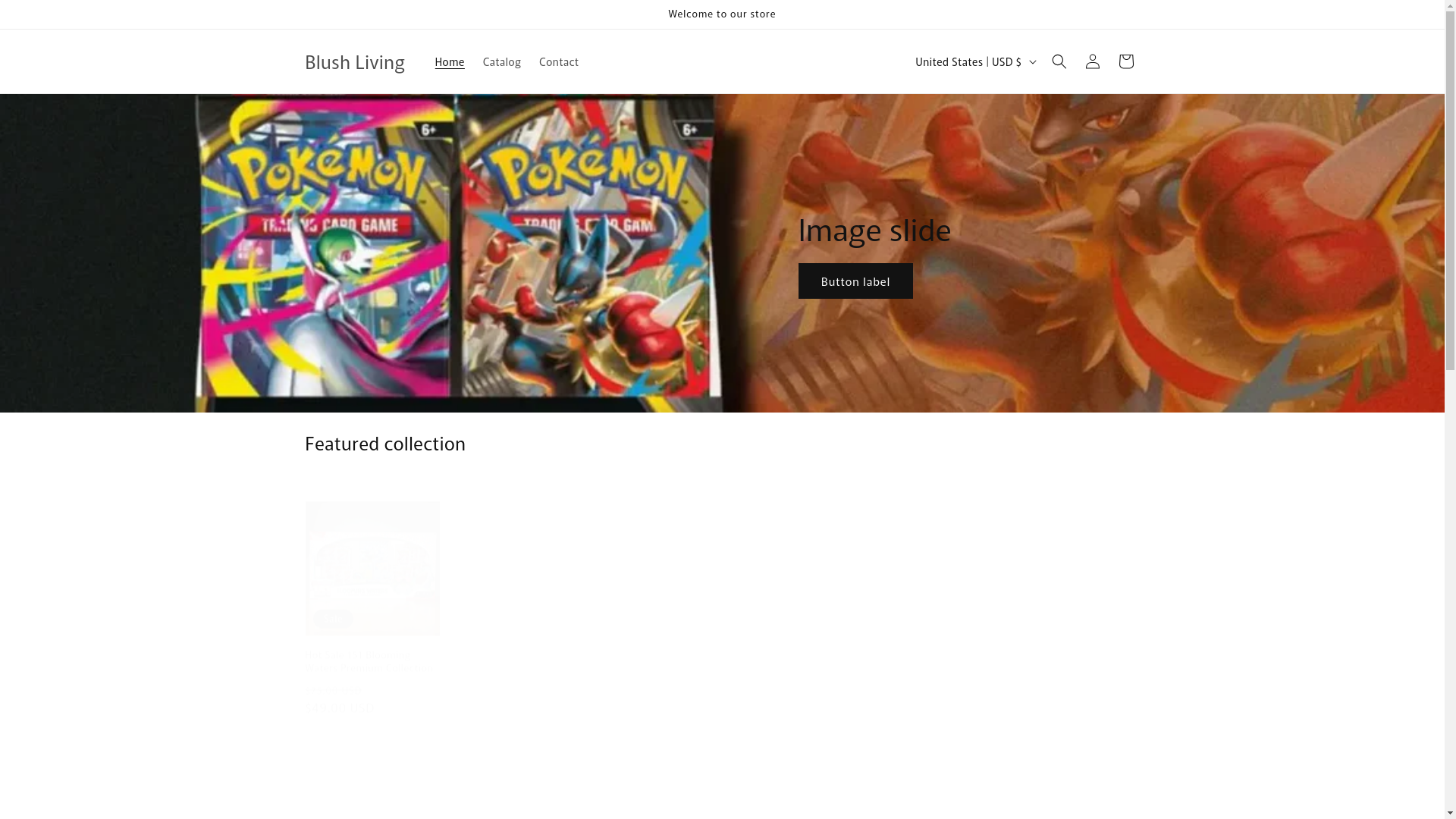 website screenshot of https://pokemoncar.shop/