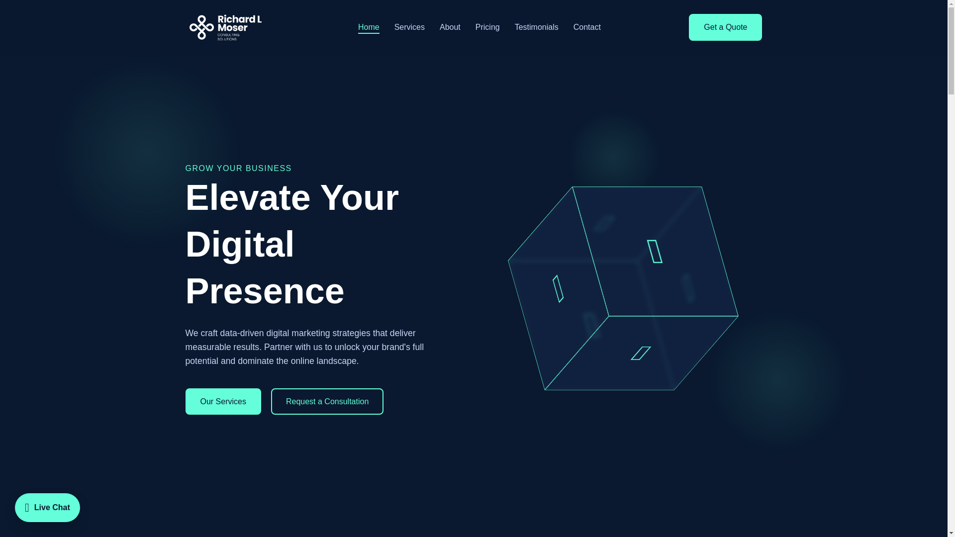 website screenshot of https://richardlmoserconsultingsolutions.com/