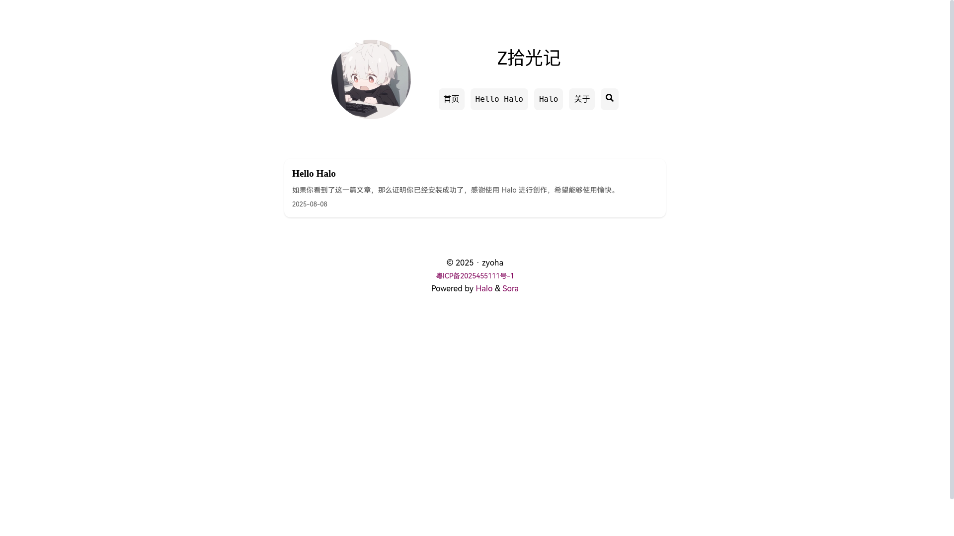 website screenshot of https://zyoha.cn/