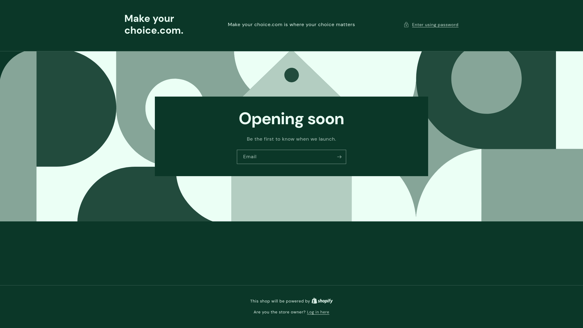 website screenshot of https://makeyourchoicecom.com/