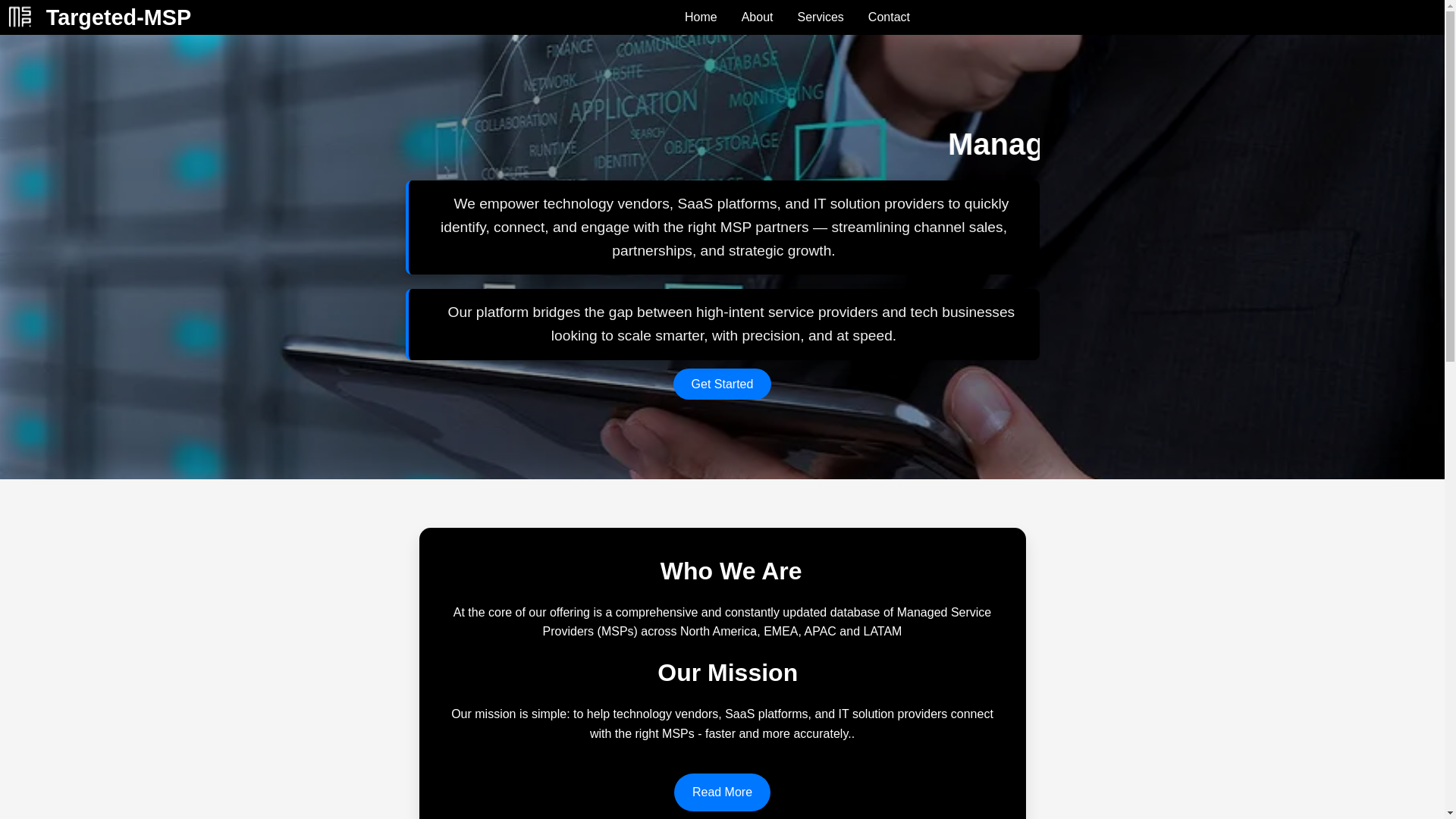 website screenshot of https://targetedmsp.com/